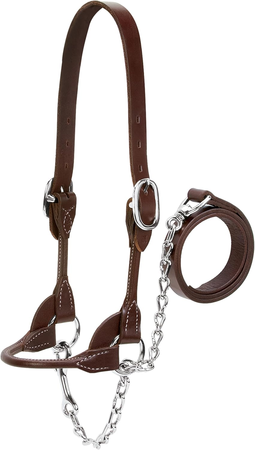 Weaver Leather Dairy/Beef Rounded Show Halter, Brown, Small image number 2