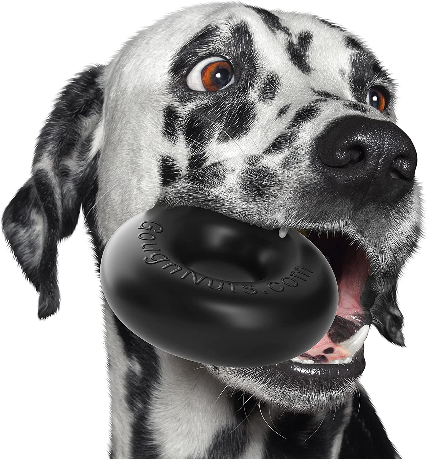 Goughnuts - Rubber Dog Chew Toy, Med .75 - Black Pro 50 Ring