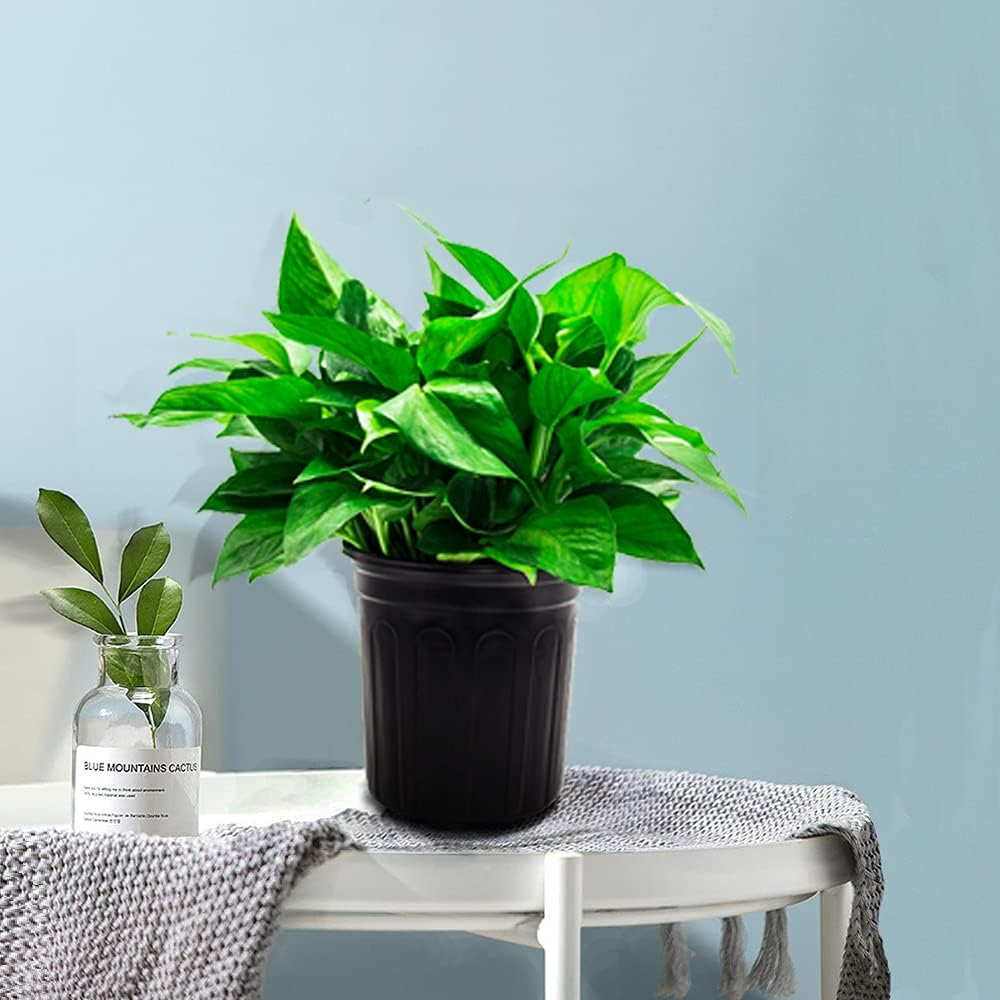 HECTOLIFE 50-Pack 1 Gallon Flexible Flower Plant Nursery Pots, Thickened Soft Plastic Seed Starting Container for Succulents, Seedlings, Cuttings, Transplanting,(Black) image number 4