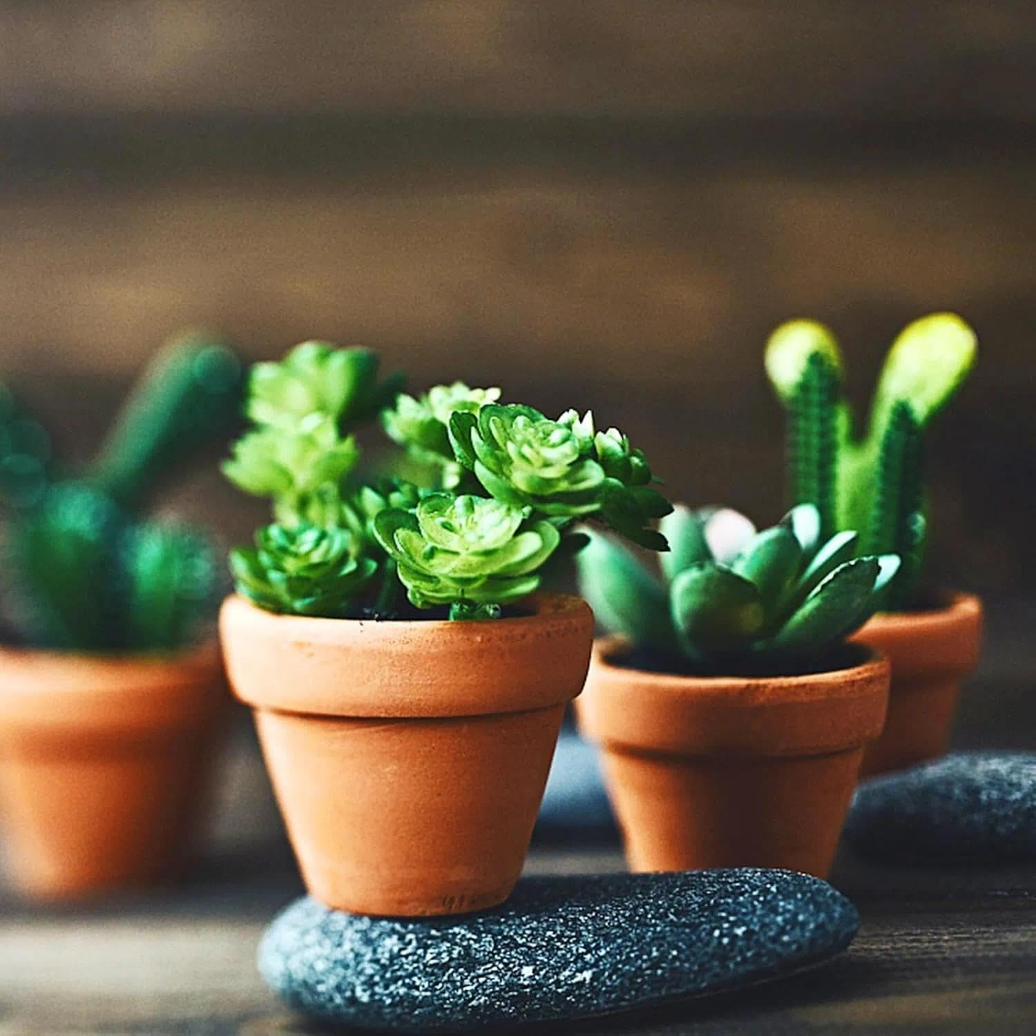 30 Pcs Mini Terracotta Pot for Plants, Succulent Planter with Drainage Holes, Clay Flower Pots for Indoor/Outdoor Garden, Small Planters for DIY Craft Projects, 3Cm &ndash; Unron image number 2