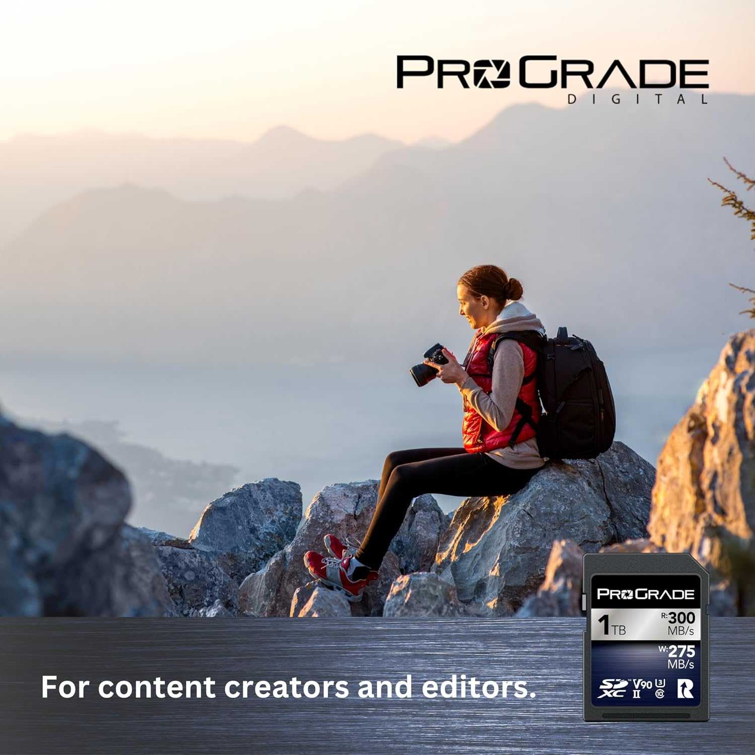 Prograde Digital SDXC UHS-II V90 Iridium Memory Card (1TB) image number 6