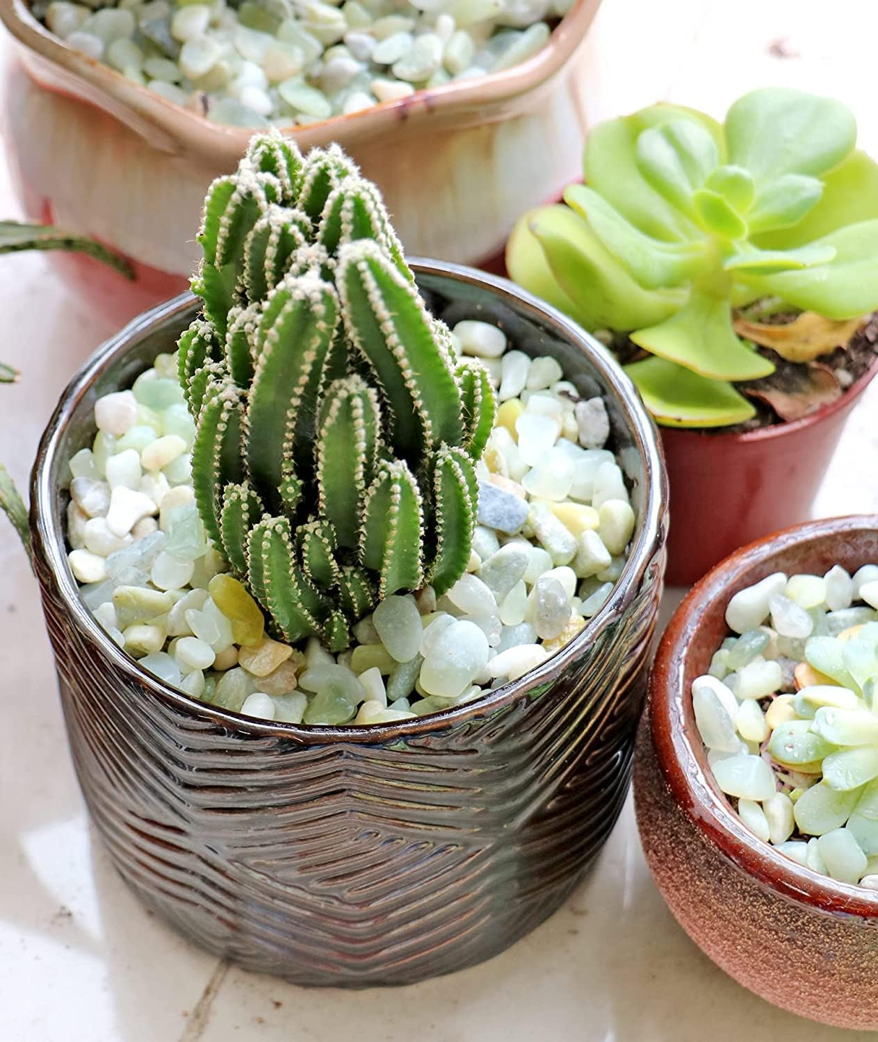 TOYPOPOR Garden Rocks image number 2