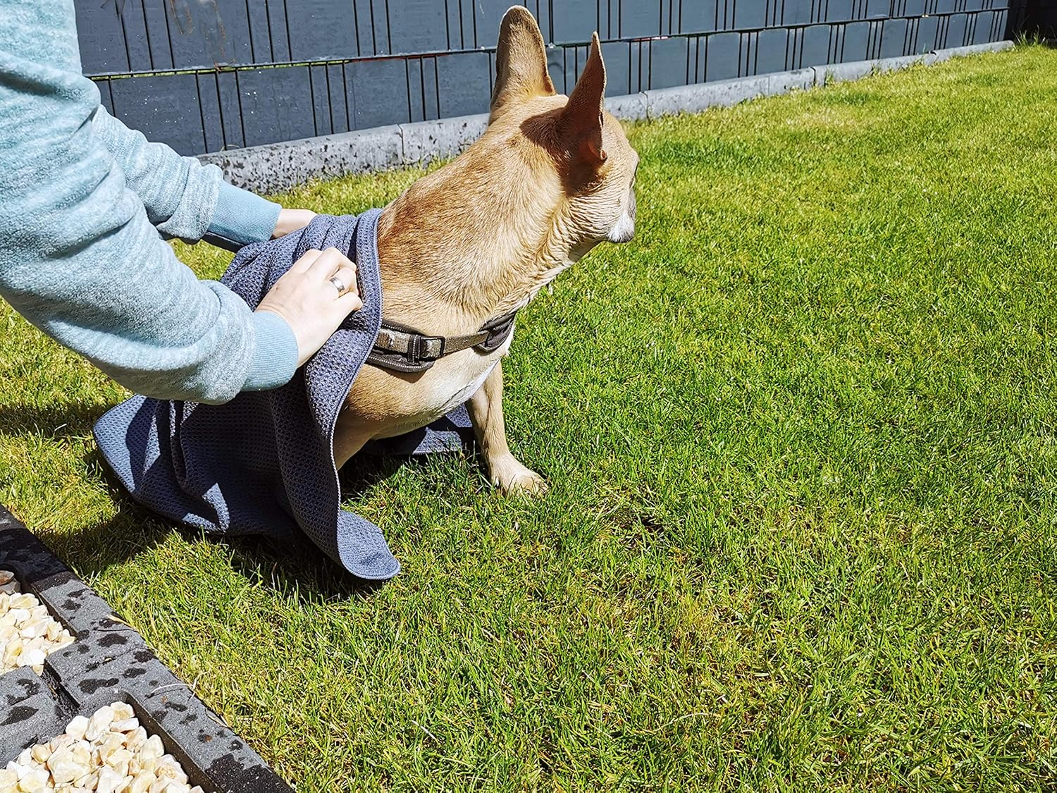 Glart Soft, Absorbent Dog Towel Pet Towel, Microfibre Dog Bath Towel 80 X 55 Cm image number 1