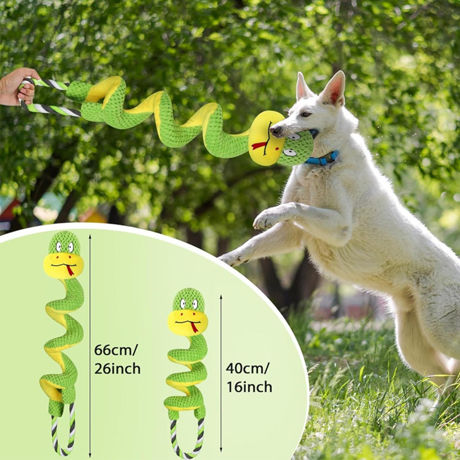 Chew-Resistant Dog Rope Toy with Squeaker & Crinkle Paper | Interactive Puppy Toys for Anxiety Relief & Dental Care | Tough Chew Toys for Small, Medium, and Large Dogs image number 4