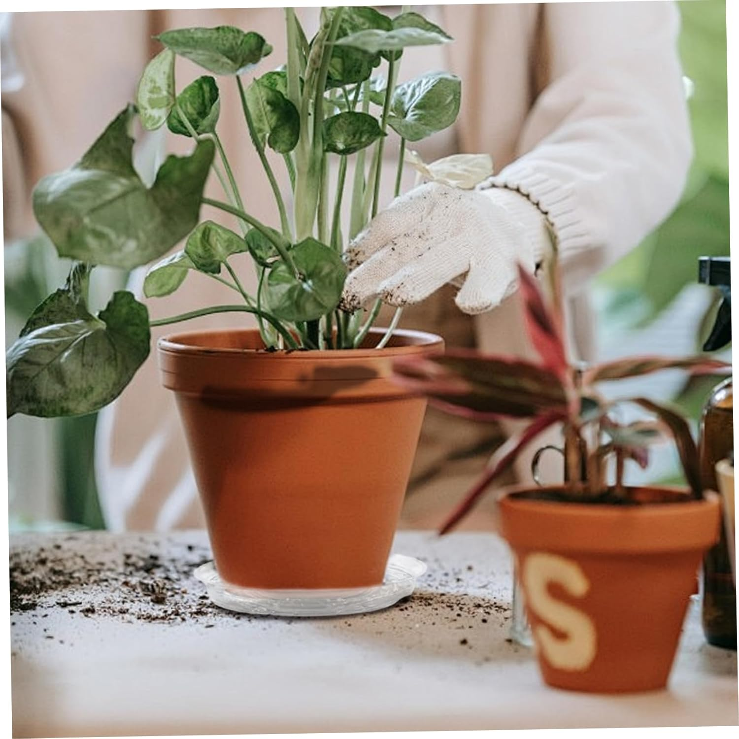 Plant Saucer 20Pcs 8 Inch round Plant Tray Non-Slip PP Plant Pot Saucers Waterproof Transparent Plant Drip Trays for Indoor Outdoor Gardening Supplies Plant Drip Trays Plant Pot Saucers Plant Tray image number 6