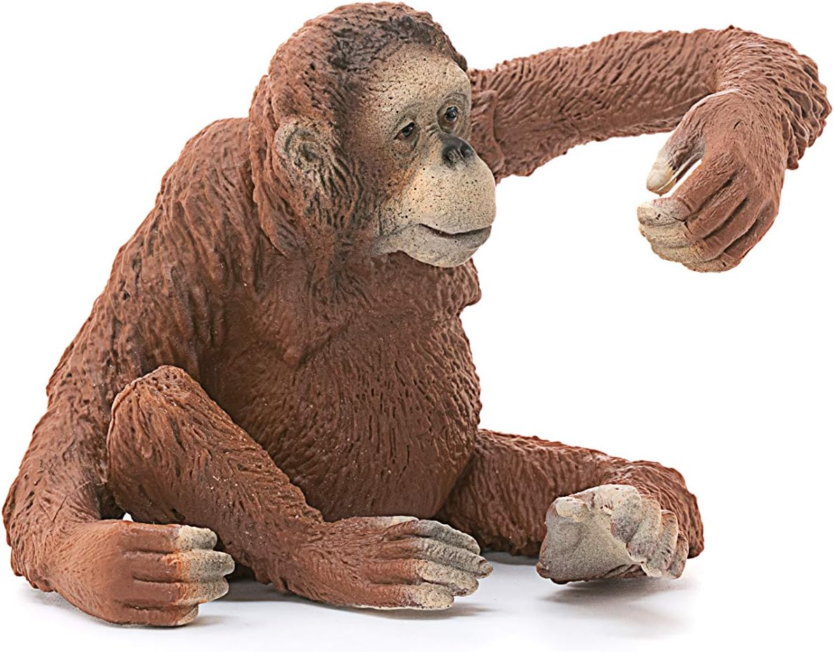 Schleich Wild Life, Animal Figurine, Animal Toys for Boys and Girls 3-8 Years Old, Female Orangutan, Ages 3+ image number 5