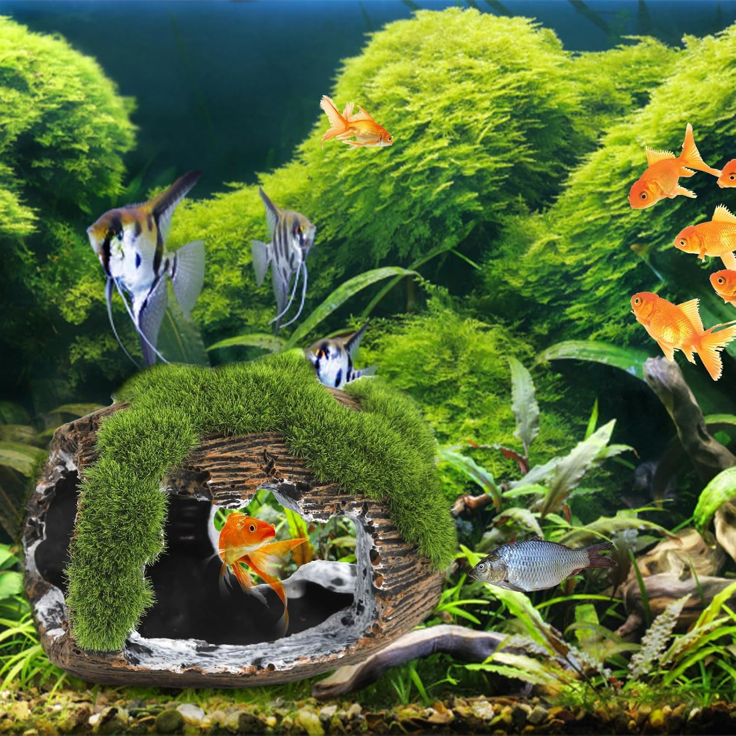 NQEUEPN Broken Barrel Fish Tank Decor, Fish Tank Accessories Decorations Resin Betta Fish Hideout Cave for Fish Tank Ornaments for Small Animal Play Rest Hide Breed image number 2