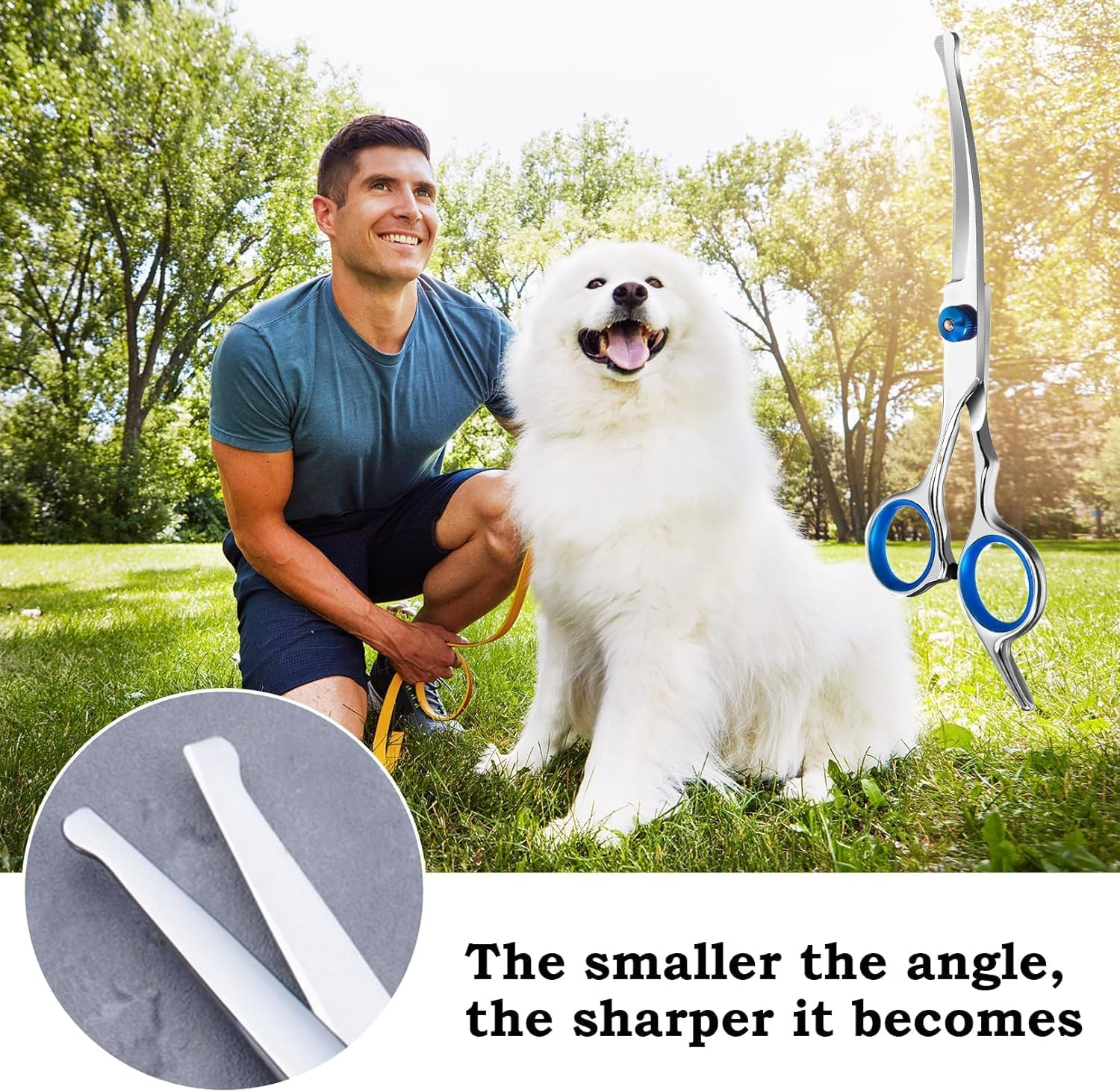 Curved Dog Scissors, Safety round Tip Grooming Scissors, Fur Scissors for Dogs, Grooming Scissors for Pets, Stainless Steel Fur Scissors for Dogs and Cats Kiuiom image number 1