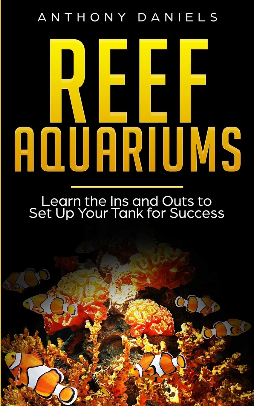 Reef Aquariums: Learn the Ins and Outs to Set up Your Tank for Success
