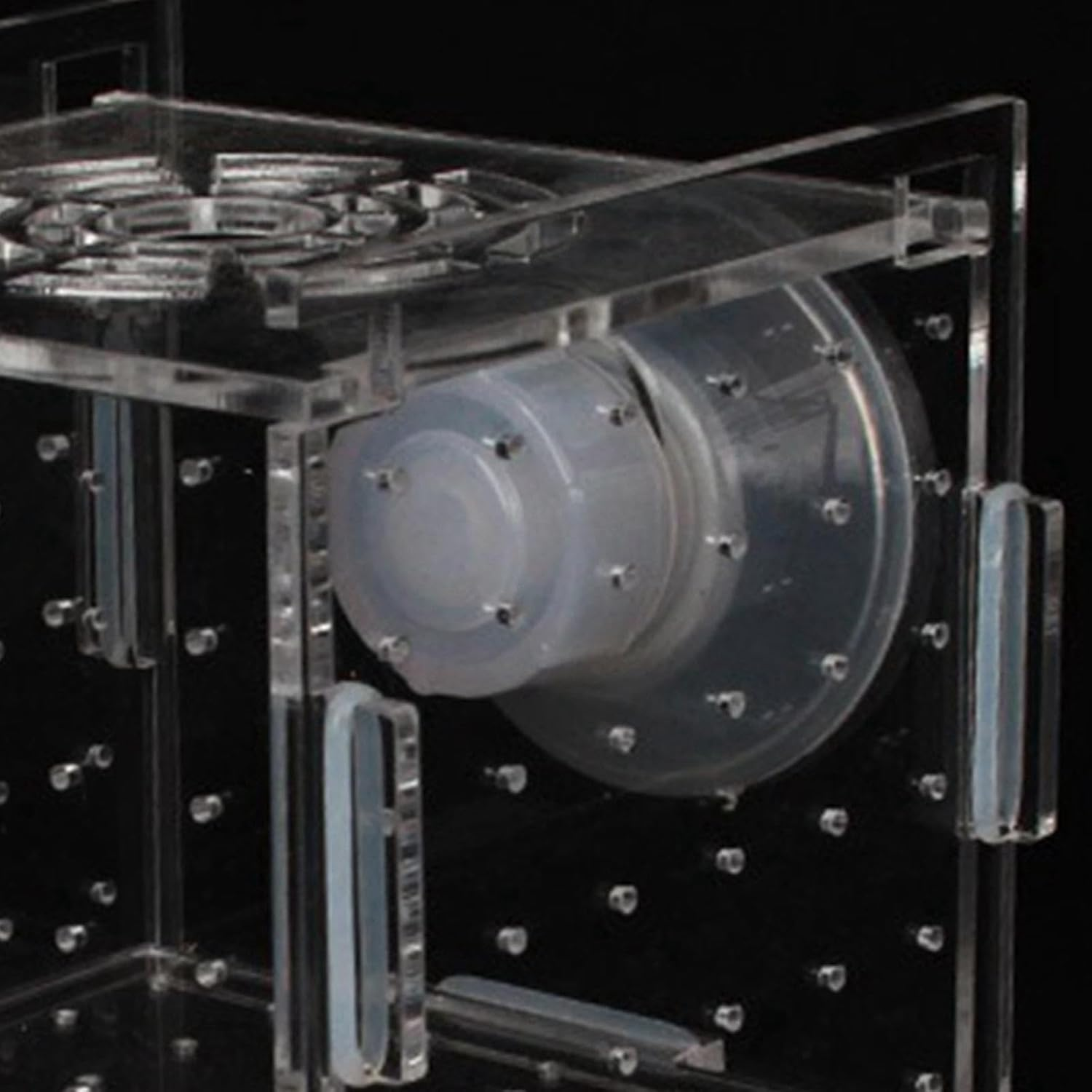 Dualoai Clear Acrylic Fish Breeding Enclosure for Aquatic Pets, 8Cmx8Cmx8Cm image number 1