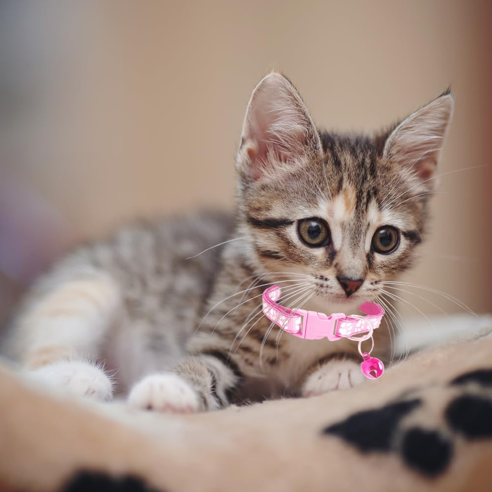 Cat Collar with Bell, Breakaway Grid Collar with Plastic Buckle, Light Adjustable, Nylon, Kitty Collars