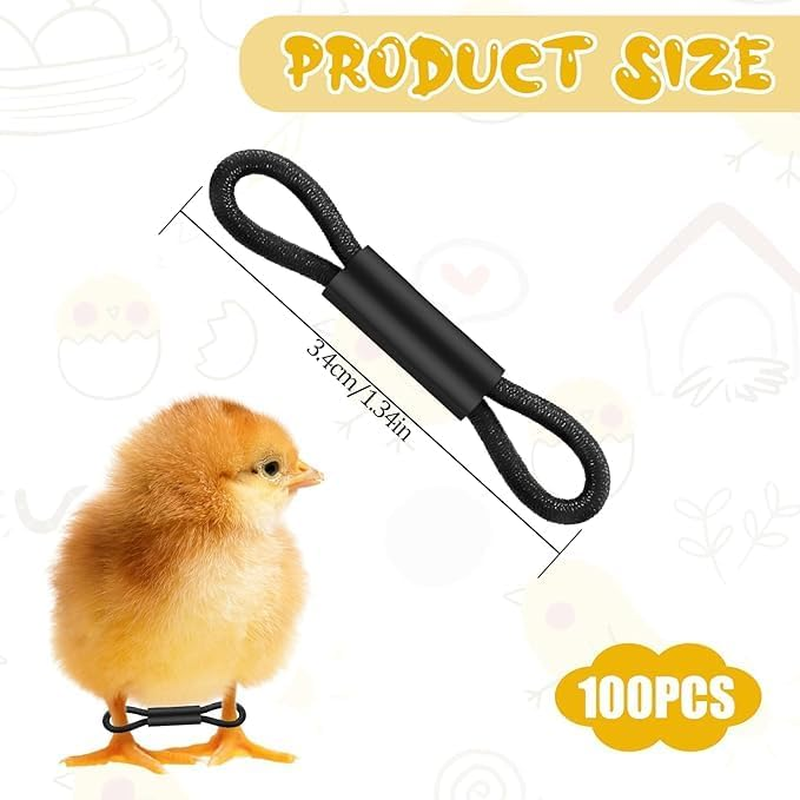 Ksngtixe 100Pcs Elastic Chick Leg Bands - Poultry Leg Braces for Chicks, Quail, Ducks, Pigeons, Splay Foot Correction for Small Birds image number 1