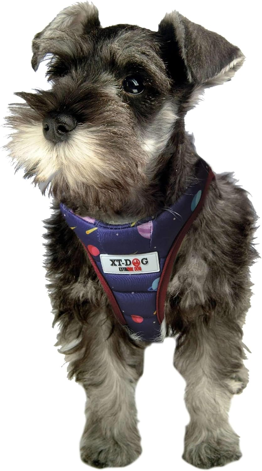 Xt-Dog Anres Aquilat, Planets XS 36-40