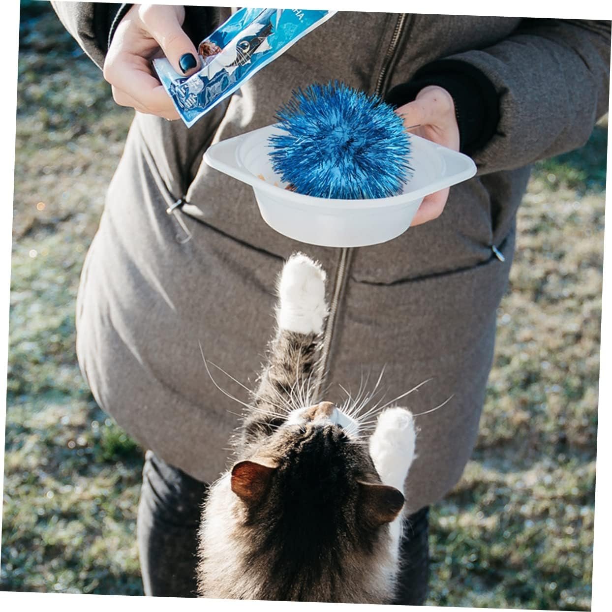 ANDRESLAD 18Pcs Cat Pom Balls Tinsel Pom Bite-Resistant Pet Ball Toy 5Cm for Cat Play and Teasing Interactive Indoor Toys Random Color image number 2