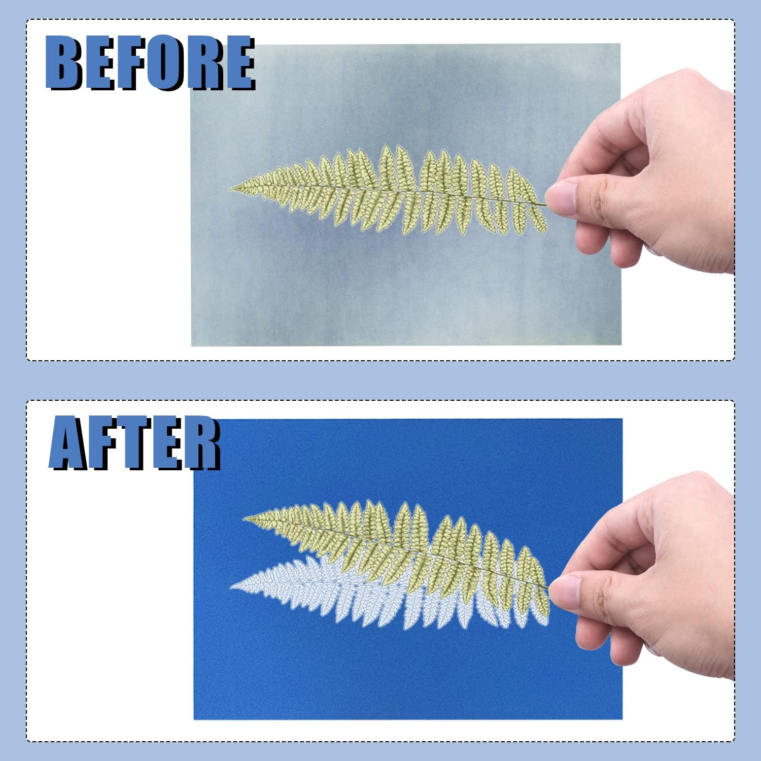 KINBOM 32Pcs Cyanotype Paper, Sun Print Paper Light Sensitive Paper Photography with Acrylic Sheet for DIY Crafts Projects image number 5