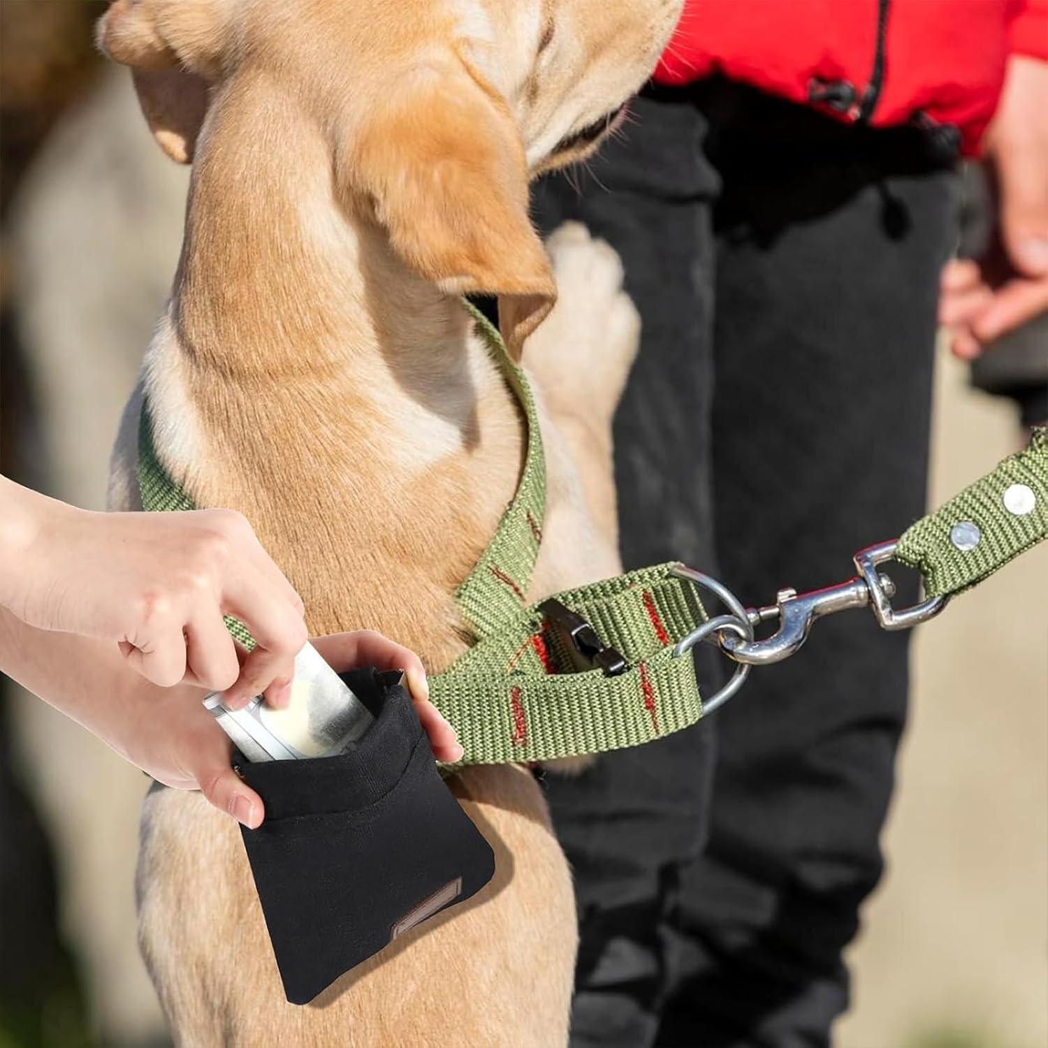 Yeanifeana 2-Pack Dog Treat Bags with Carabiner Clips, Auto-Closing Leak-Proof Pet Training Pouch, Hands-Free Dog Walking Accessories for Outdoor Hiking, Puppy Travel & Daily Training image number 1