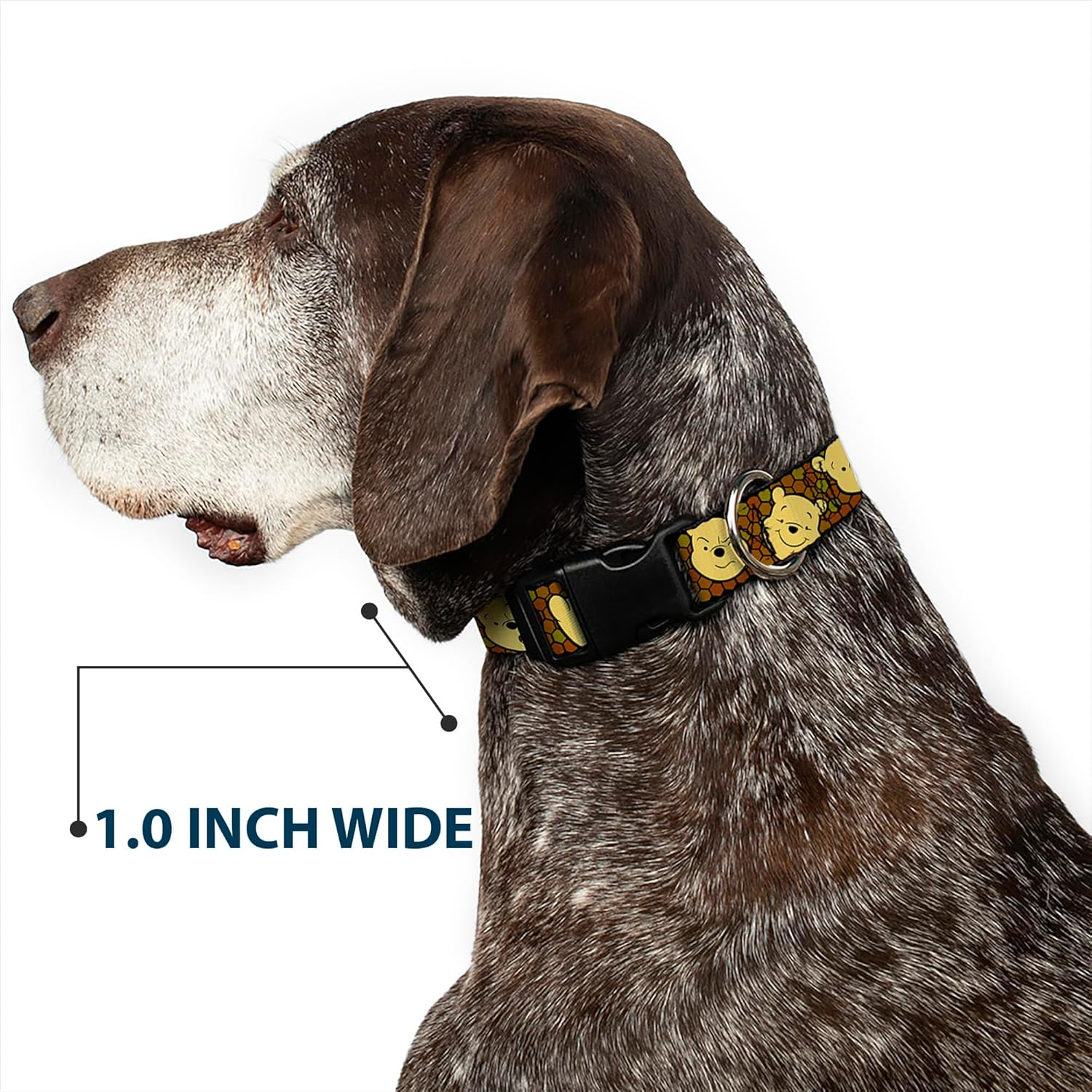 Buckle-Down Plastic Clip Collar - Winnie the Pooh Expressions/Honeycomb Black/Browns - 1/2" Wide - Fits 6-9" Neck - Small image number 2