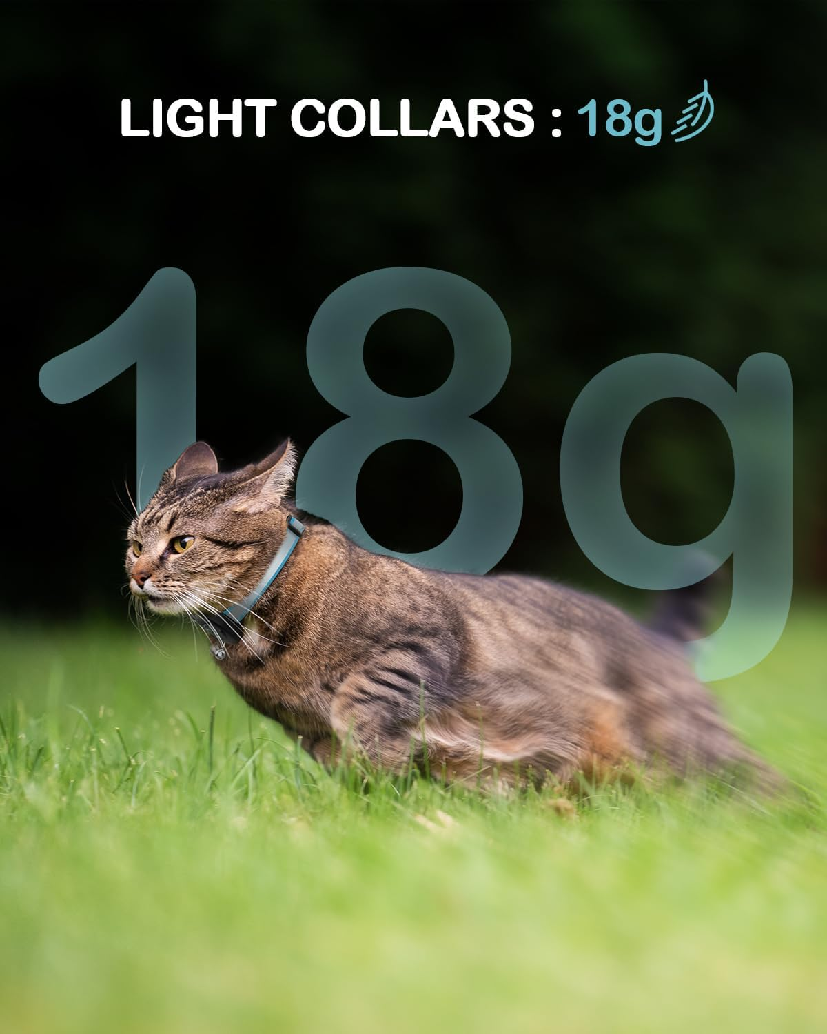 WROSWT Waterproof Airtag Cat Collar, Breakaway Cat Collars with Luminous & Reflective Strap for Apple Air Tag, Kitten Safety Elastic Band, Lightweight Hidden GPS Tracker Holder(Black, 8"-11")