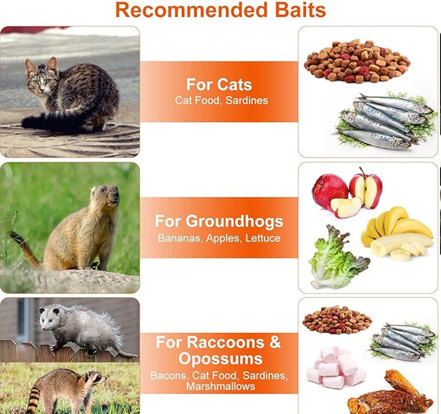 Live Animal Trap Humane Cat Trap Catch Forfor Catching Small Animals like Raccoons, Beavers, Groundhogs, Foxes, Armadillos, Cats, Rabbits, Skunks, Possums. Humane Catch - and - Release. image number 5