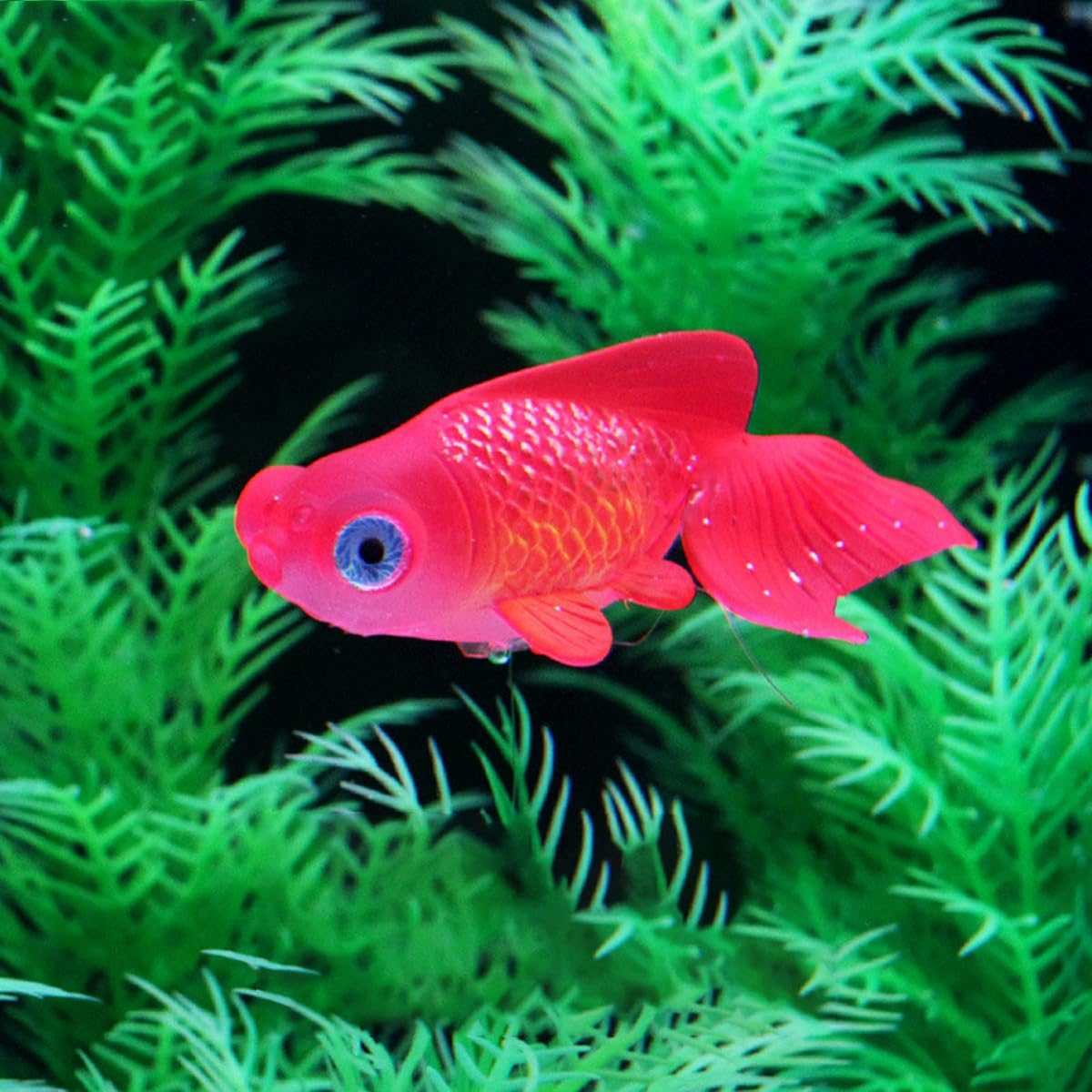 AIMALL 2PCS Artificial Floating Aquarium Fish Decorations Set, Silicone Betta Fish for Aquarium D&eacute;cor, Moving Small Fish Tank Ornaments for Betta Tanks, 6 Styles, 1.7-3.9 Inches image number 5