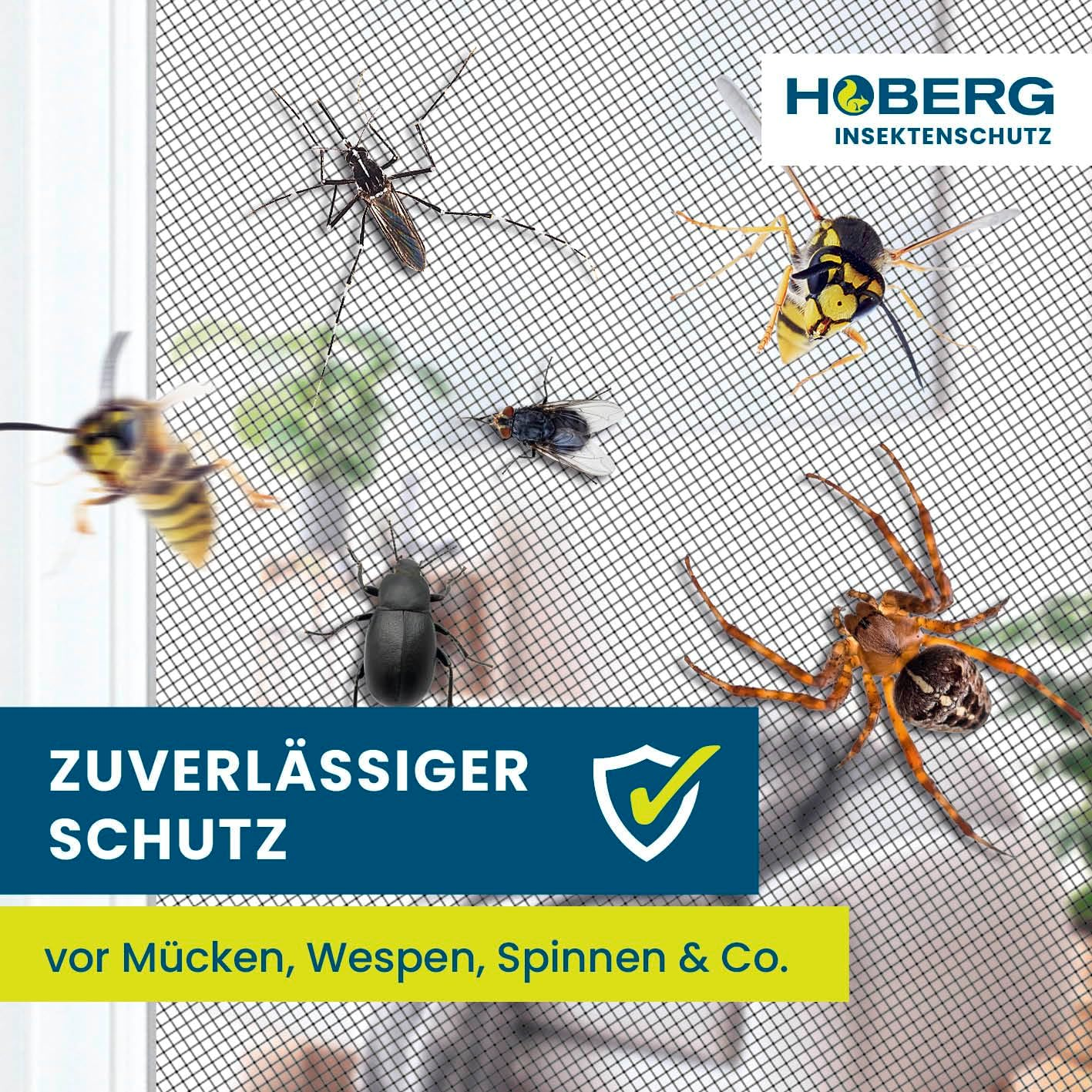 Hoberg Insect Screen Curtain for Camper Van 60 X 195 Cm Fly Screen Door with XXL Magnetic Tapes Insect Protection Door for Caravans Magnetic Mosquito Net Self-Closing image number 6