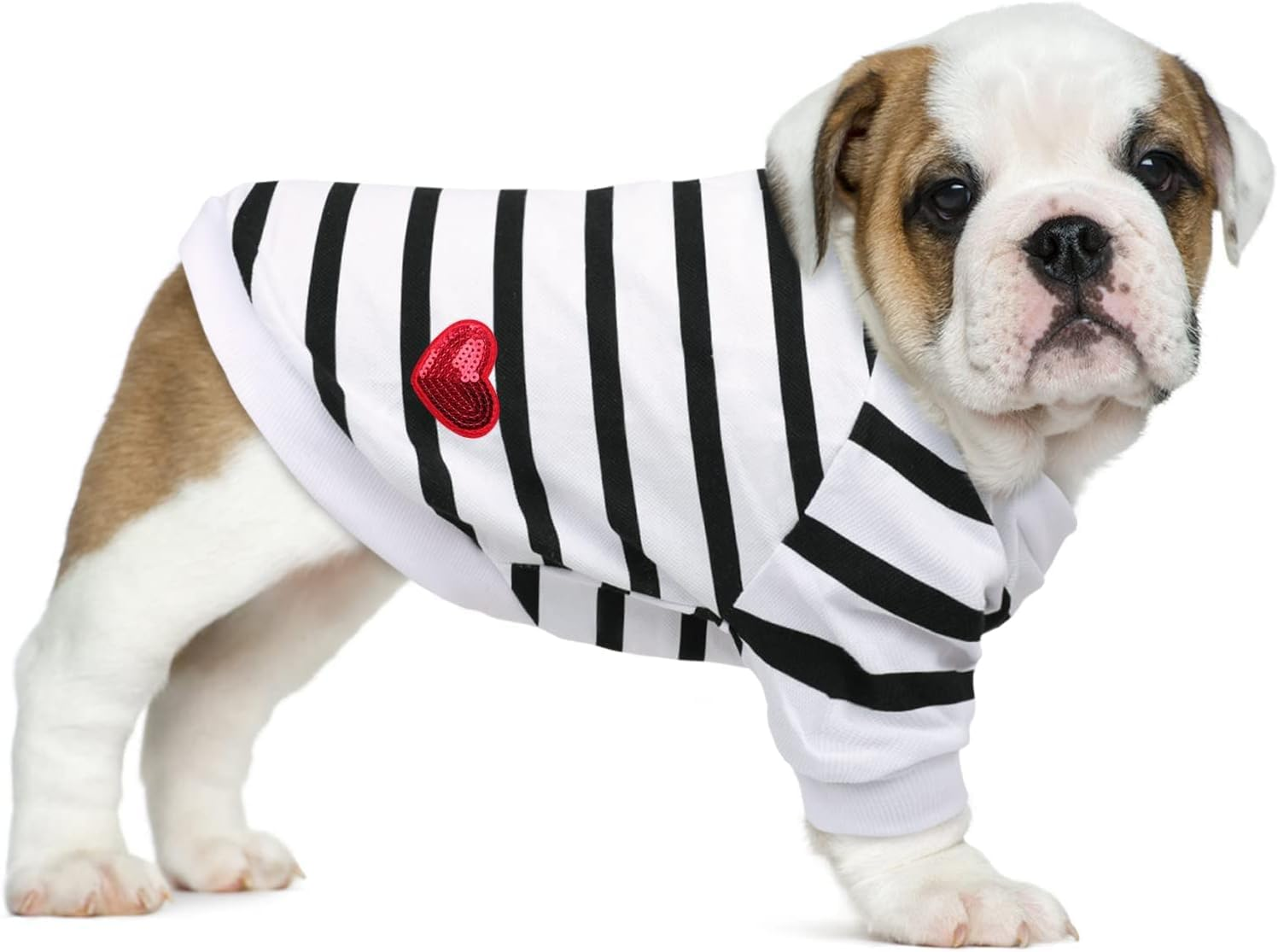 Pet Dog Striped T-Shirt Dogs Cats Vest Spring Summer Pet Apparel Tee Shirt Suitable for Small and Medium Large Pets (White, S) image number 2