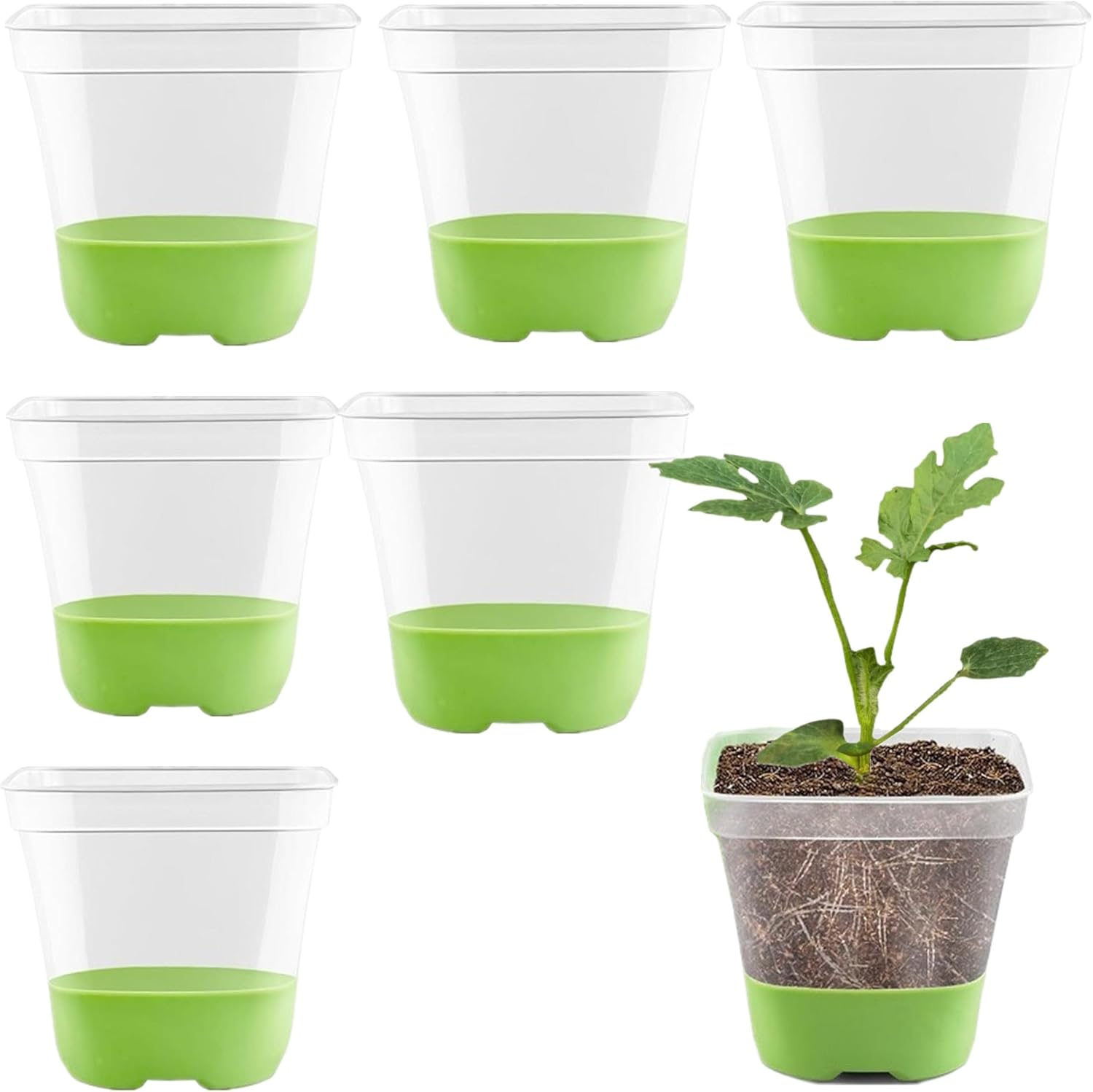 5Pcs Reusable Seed Starter Tray, Silicone Seeding Starter with Flexible Pop-Out Cells (60 Cells in Total), Plant Growing Trays for Seed Starter, Indoor Greenhouse Seeding Planting Growing(5Pcs,Green) image number 6