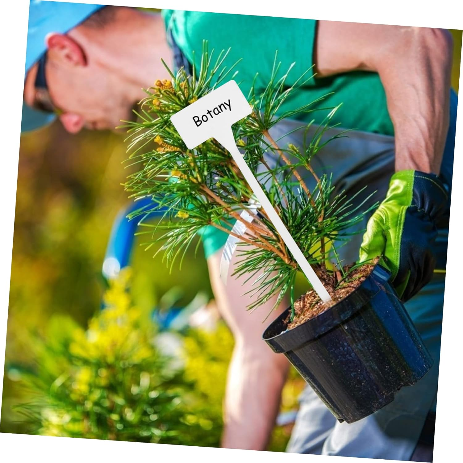 Plant Tags 10 Pack Garden Labels Gardening Accessories Tree Labels Plant Markers Decorative Garden Tags image number 1