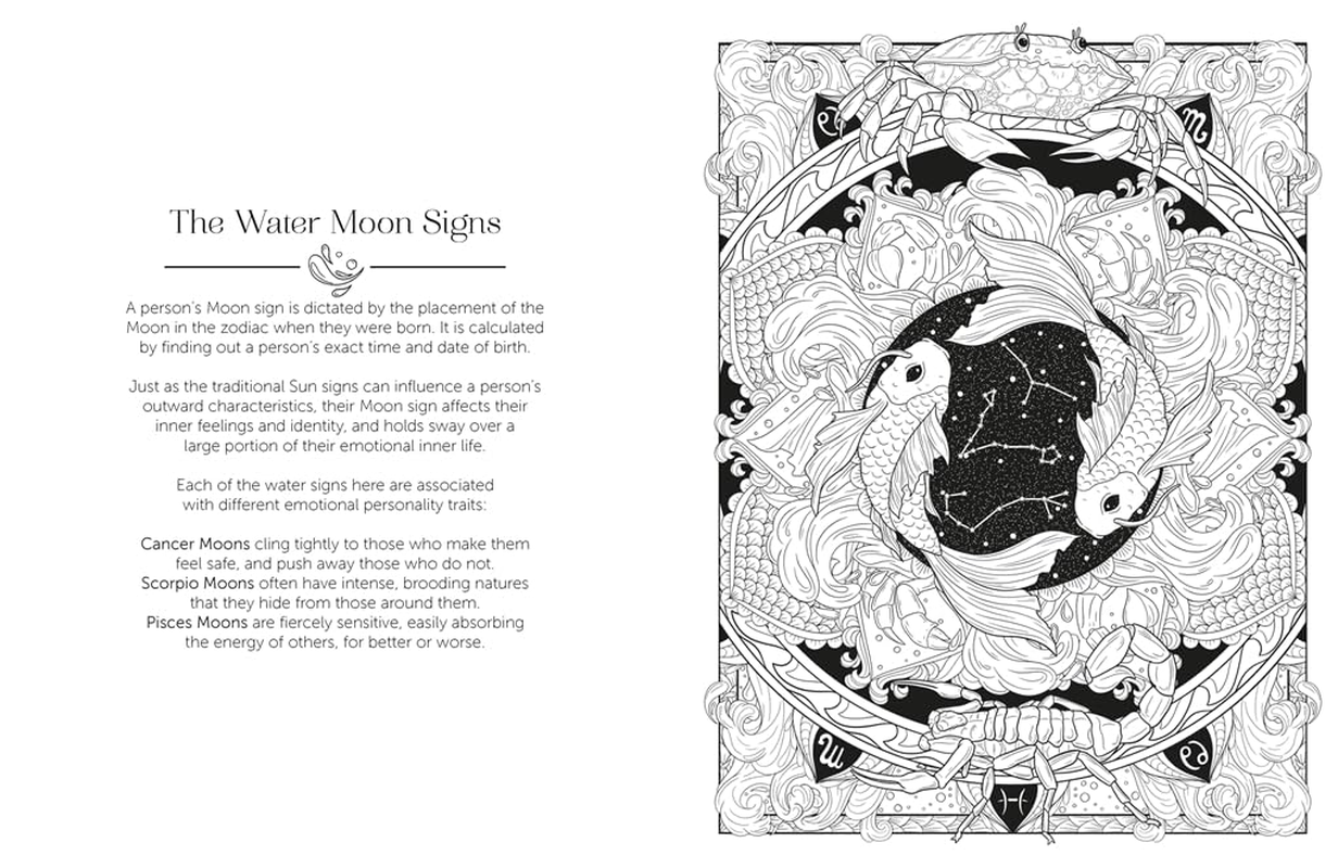 Luna Colouring: Embrace the Magic of the Moon image number 1