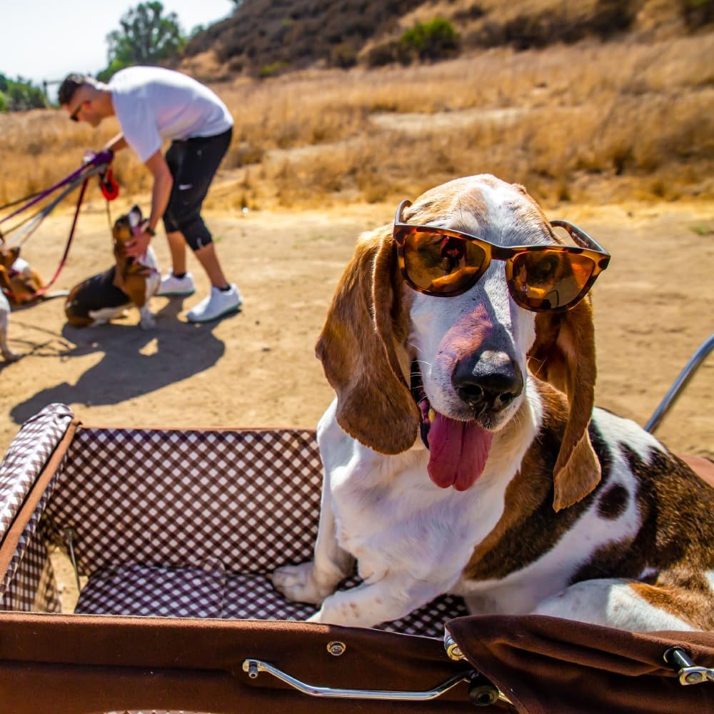Goodr Bosley'S Basset Hound Dreams Polarized Sunglasses, Medium Sized (OG), Brown Translucent Frames with Brown Non-Reflective Glare Reducing Lenses, UV400 Protection, No Slip, No Bounce