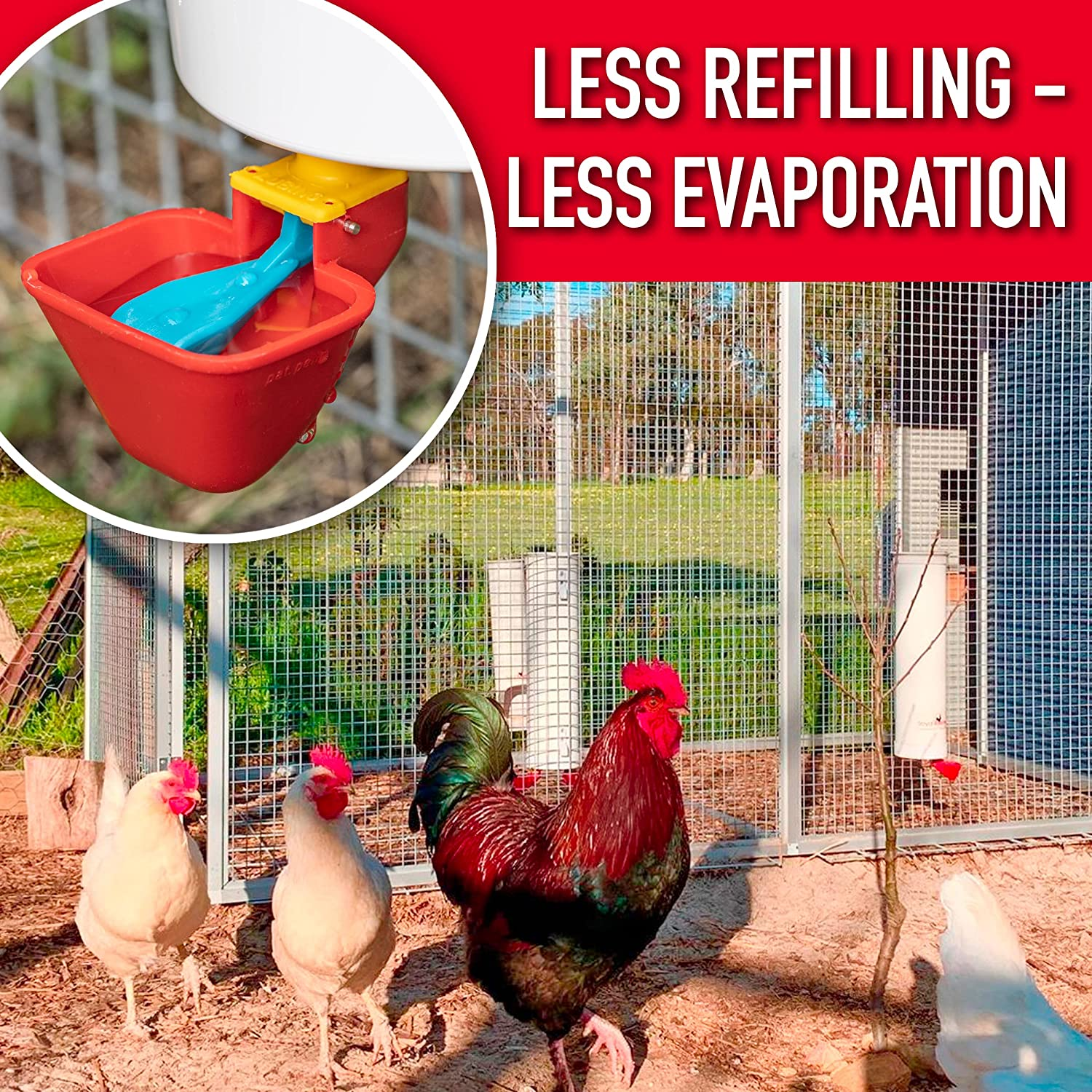 Royal Rooster Chicken Feeder and Chicken Waterer Set - 3 Kg Poultry Chicken Feeder with Rain Cover and 4 Litre Waterer System - Chicken Coop Accessories: Valve-Cup Waterer and Gravity-Feed Feeder Set image number 4