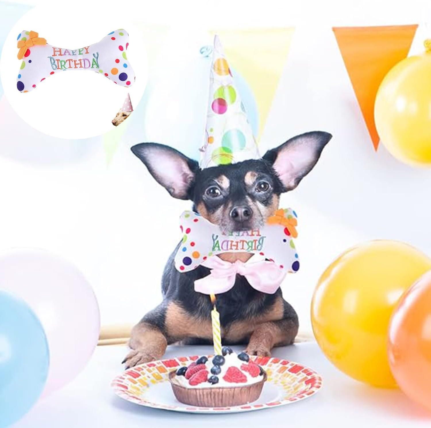 Roczential Dog Birthday Squeaky Plush Toy, Cute Bone Shape Dog Chew Toy, Stuffed Puppy Toys for Puppy Dog Cleaning Teeth image number 3