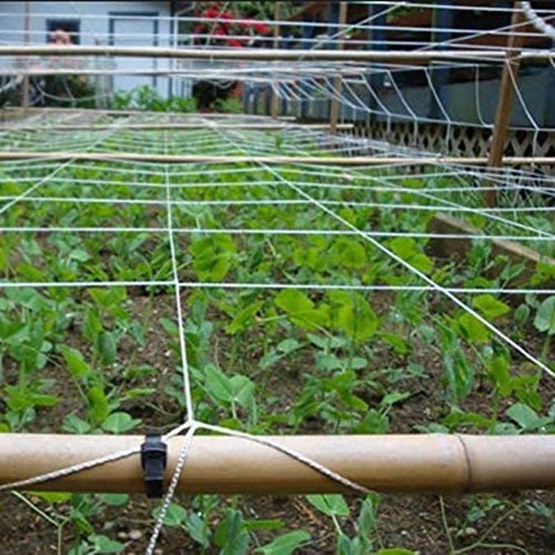 Skycabin Pea & Bean Netting Trellis Netting (1.5M X 5M) Climbing Netting Support Net for Flowers, Climbing Plants, Vegetables,Fruit, Sweet Pea Plants