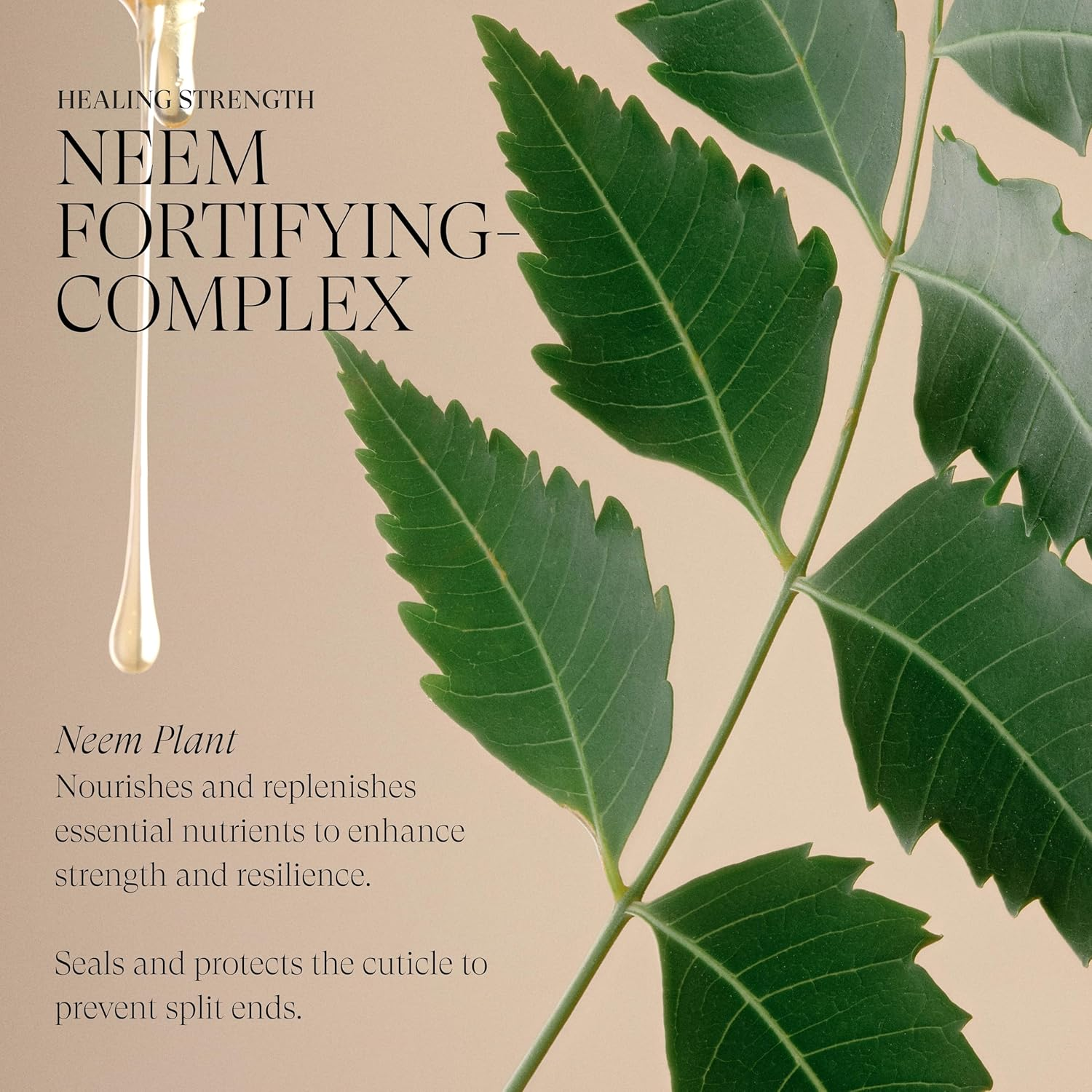 L&rsquo;ANZA Healing Strength Manuka Honey Conditioner, 33.8 Oz. image number 4