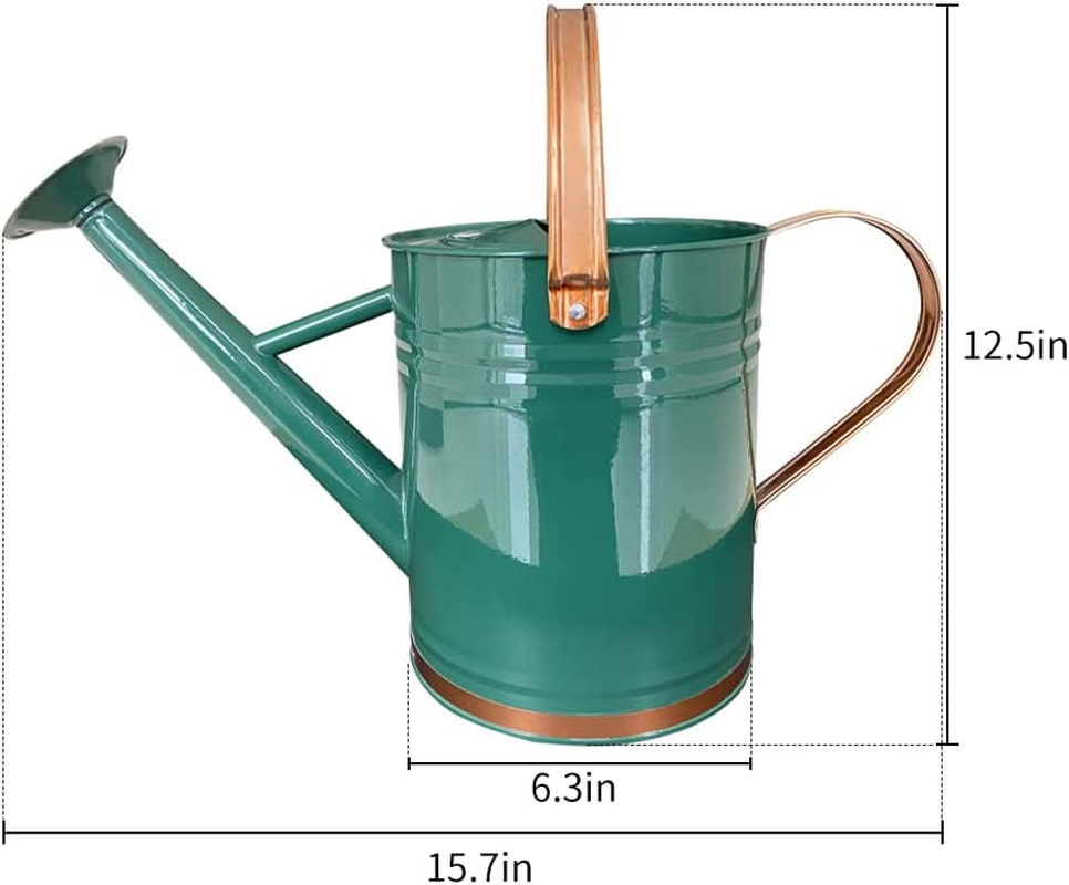 Metal Watering Can for Outdoor and Indoor Plants, Watering Can Decor, 1 Gallon (1 Gallon Green2) - 1 Gallon Black image number 2