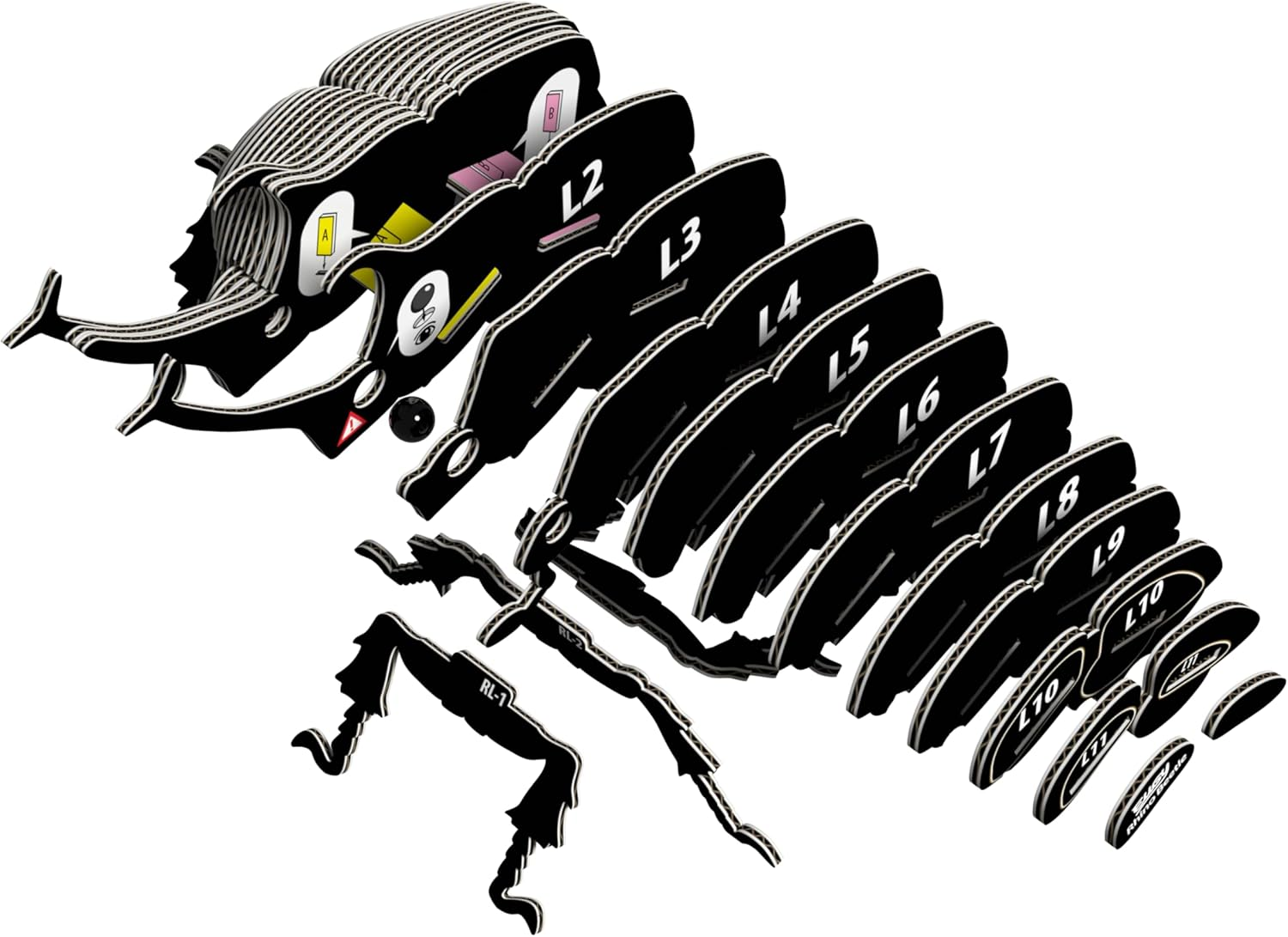 EUGY 113 Rhino Beetle 3D Puzzle - 34 Piece Eco-Friendly Educational Toy Puzzle for Boys, Girls & Kids Ages 6+ image number 5