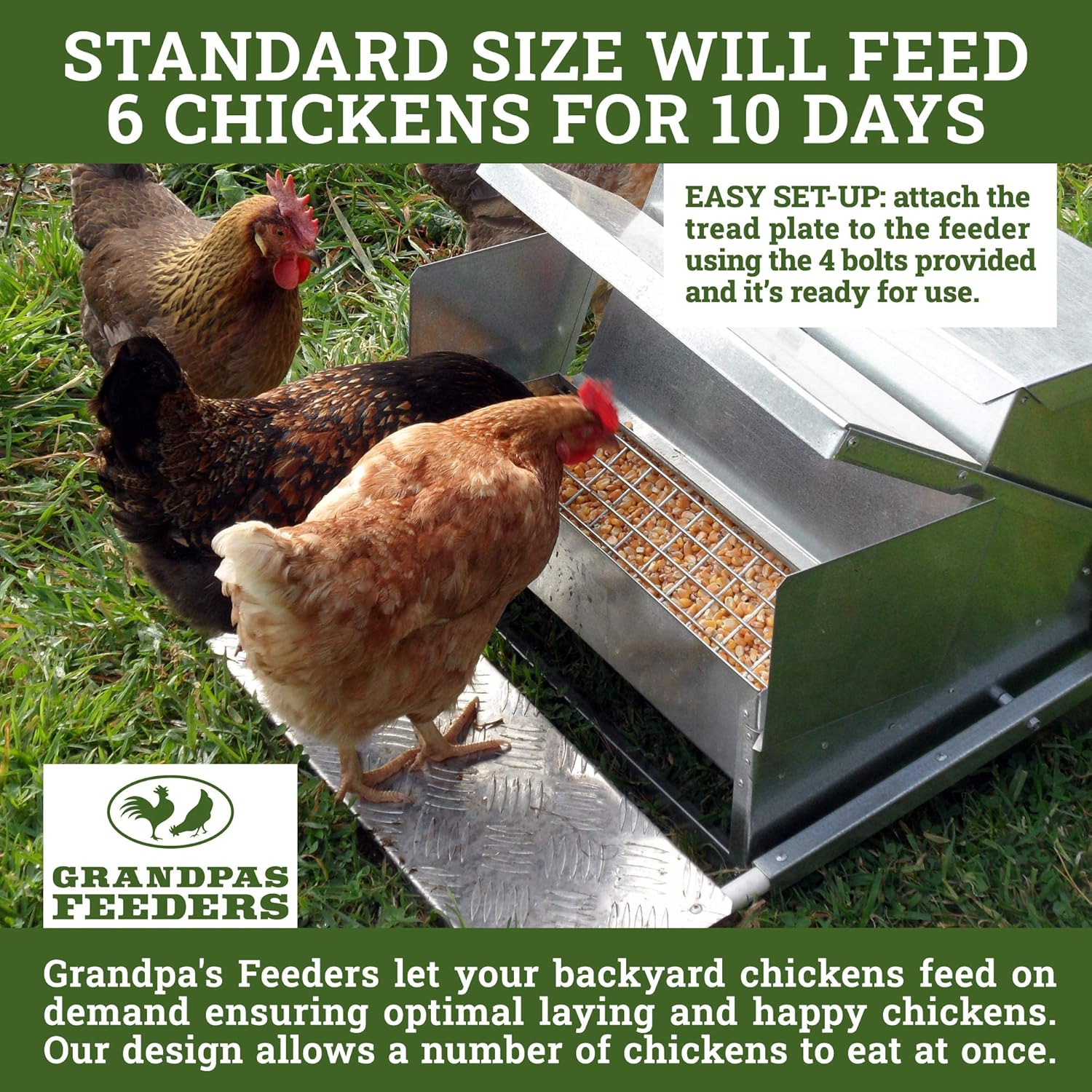 Grandpa'S Feeders Automatic Chicken Feeder - Sturdy Galvanized Steel Poultry Feeders - Rat Proof & No Spill with Weatherproof Lid - Standard Size for 6-12 Chickens 10 Days (9Kg Feed) image number 1