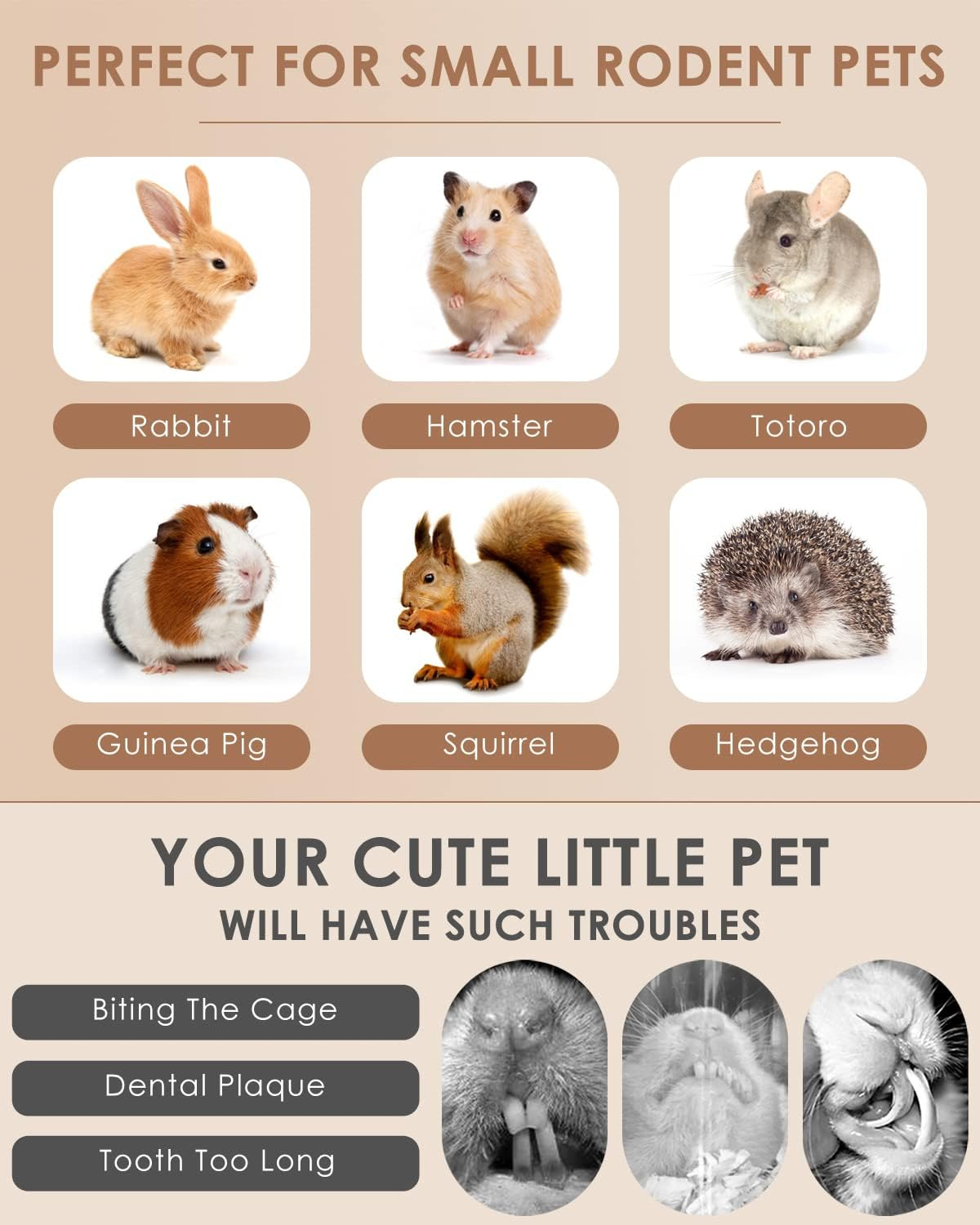 Bissap Rabbit Chew Sticks - 40 Rabbit, 20 Sweet Bamboo, 20 Papaya Stems for Rabbits image number 4