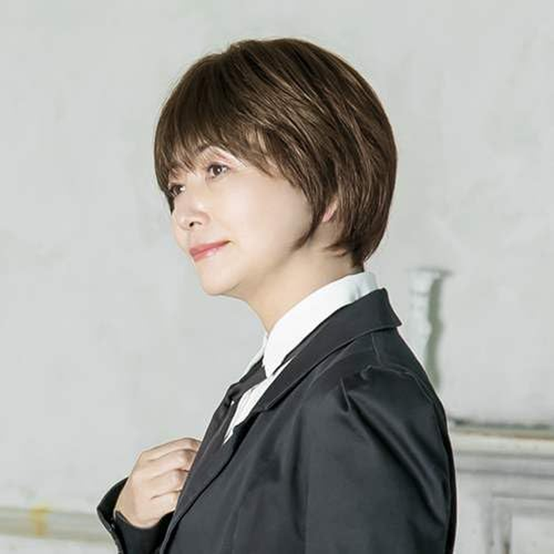 Priscilla Gray Hair Concealing Wig, 100% Human Hair Short, Natural Black Wig, Point Wig, Gray Hair, 100% Human Hair, Short, Natural, Easy, Women'S Hairstyle, Heat Resistant, ST-101-ZBBK image number 3