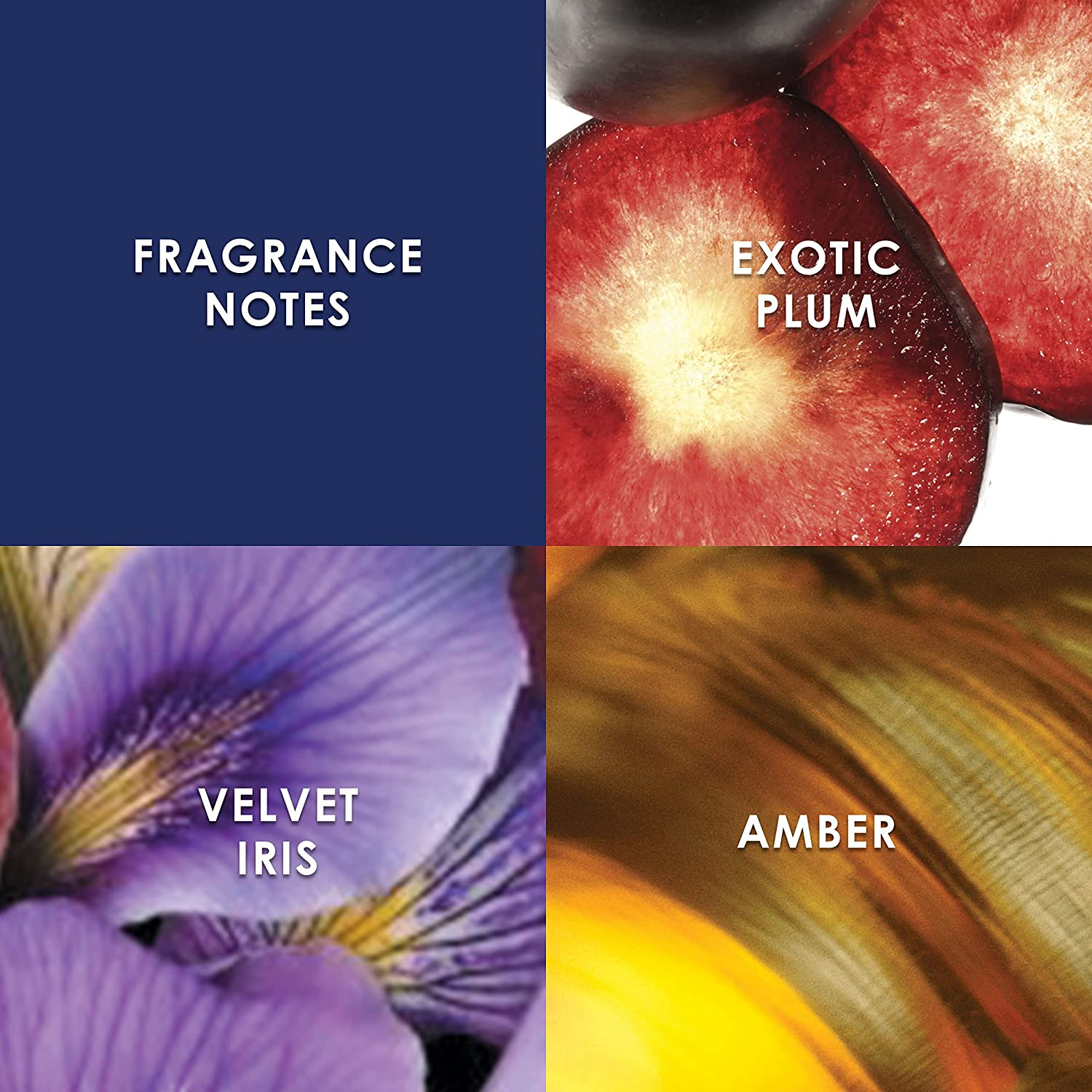 Britney Spears Midnight Fantasy Eau De Parfum, 100Ml image number 6