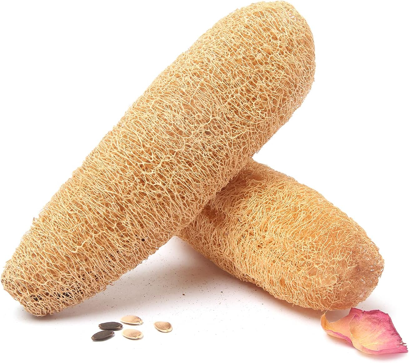 Saint Pure Natural Gourd Plant Loofah, Zero Waste Scrubber (Set of 2) image number 4