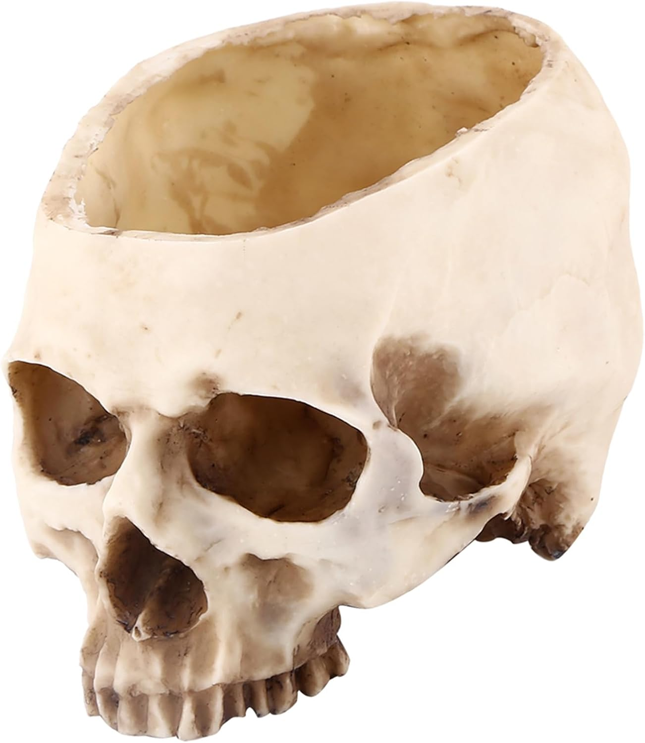 1 Piece Eyecatching Skull Flower Pot Authentic Design Planter and Multipurpose Decorative Container, #564, Traditional