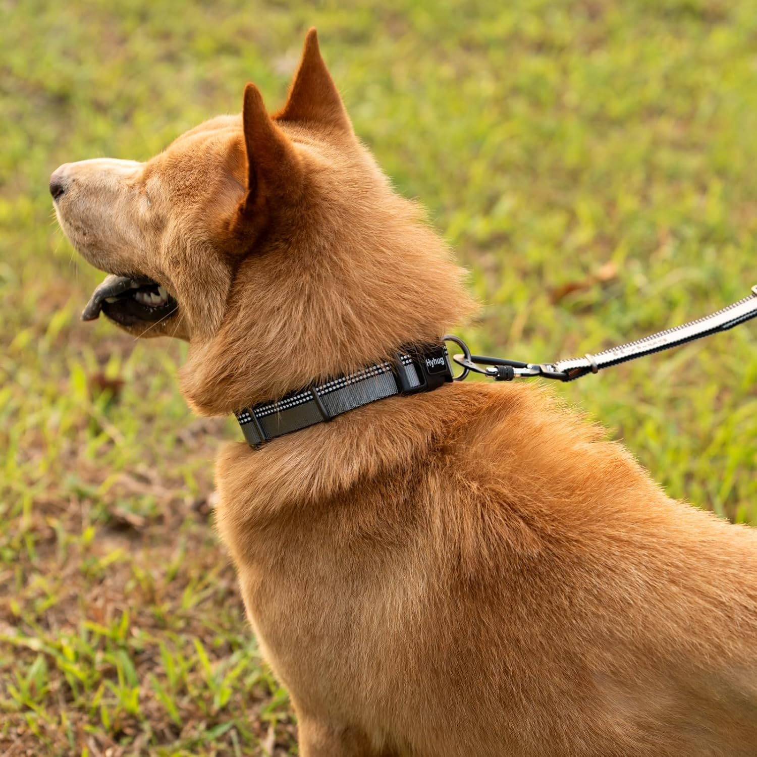 Hyhug Design Double-Color Nylon Jacquard Webbing, Heavy-Duty Classic Basic Collar, Quick Release Buckle, Specially Designed for Gentle Breeds Dogs. (Medium, Ultimate Gray) image number 5