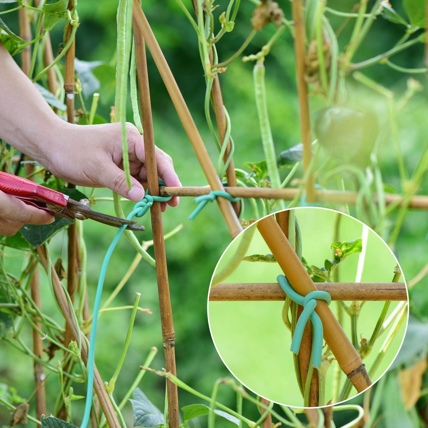 YDSL Soft Plant Tie, Garden Wire Tie for Plants Heavy Duty Reusable Plant Twist Ties for Gardening Home Office (Green, 32.8 Feet) image number 2