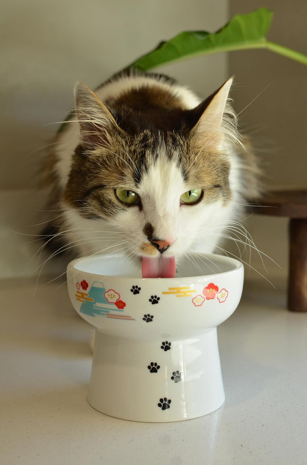Necoichi Elevated Ceramic Cat Bowls - Raised Food and Water Dishes for Indoor Cats, Kittens, Small Pets - Whisker Friendly, Anti-Spill, 4.1" Fuji Style image number 4