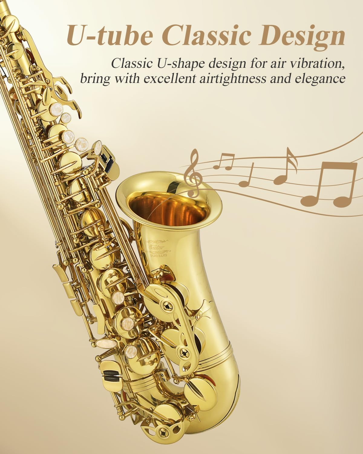 Eastar Professional Alto Saxophone E Flat Eb Gold with Cleaning Cloth, Carrying Case, Mouthpiece, Neck Strap, Reeds and Stand, Full Kit, AS-Ⅲ image number 2