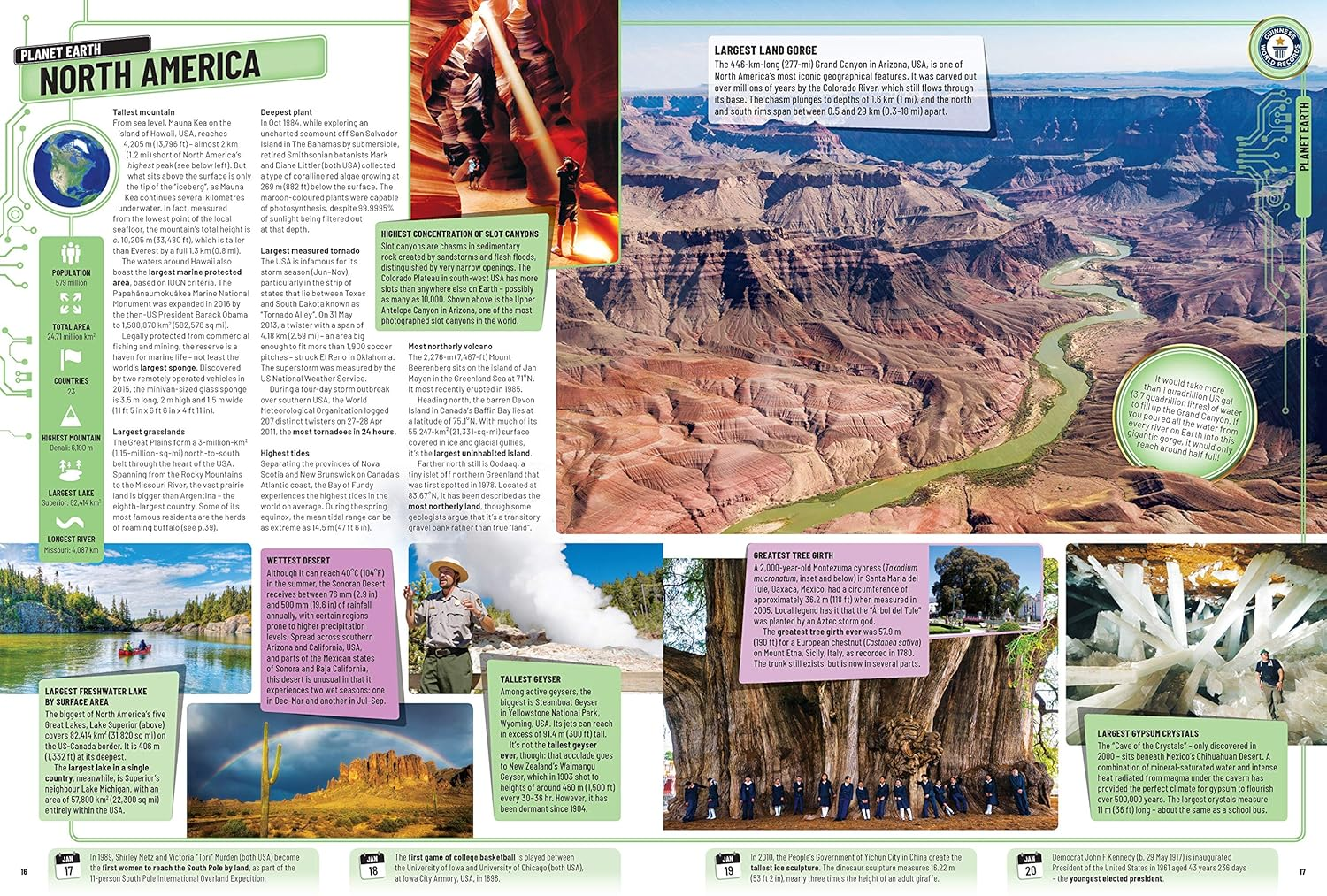 Guinness World Records 2020 image number 4