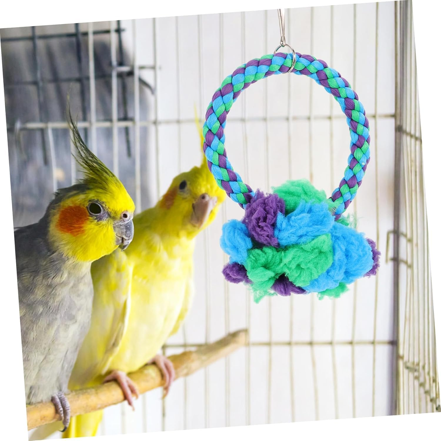 Large Parrot Swing Ring, Feeders, Perch, Nest Bell, Bird Bath and Cotton Rope for Cage Birds image number 1