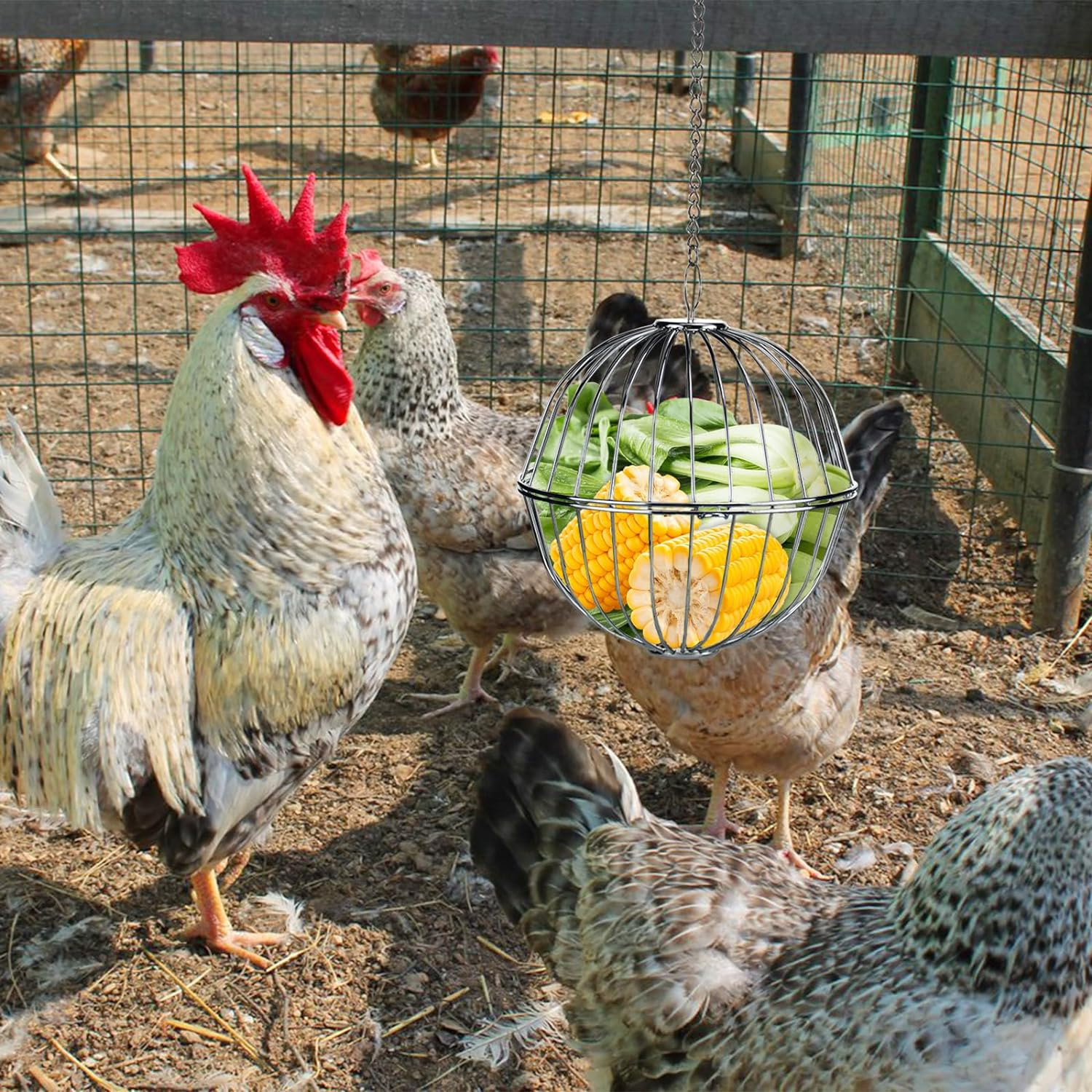 Chicken Treat Ball Chicken Vegetable Feeder Veggie Hanging Ball Toy for Hens Chicken Hanging Foraging Coop Toys for Hens 2PCS image number 2