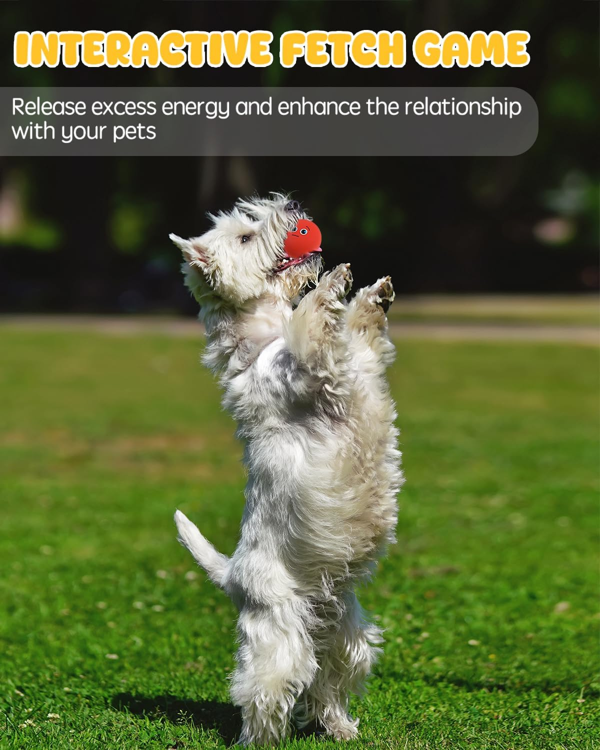 Squeaky Dog Toys, Funny Interactive Puppy Ball Toy, [6 Pack] Latex Rubber Squeak Pet Balls for Puppies Small Breed Dogs image number 3